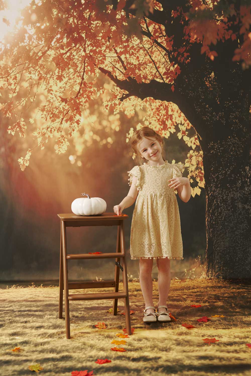Kate Abricot Dentelle Manches volantées Robe Enfant Pour la Photographie - Kate Backdrop FR