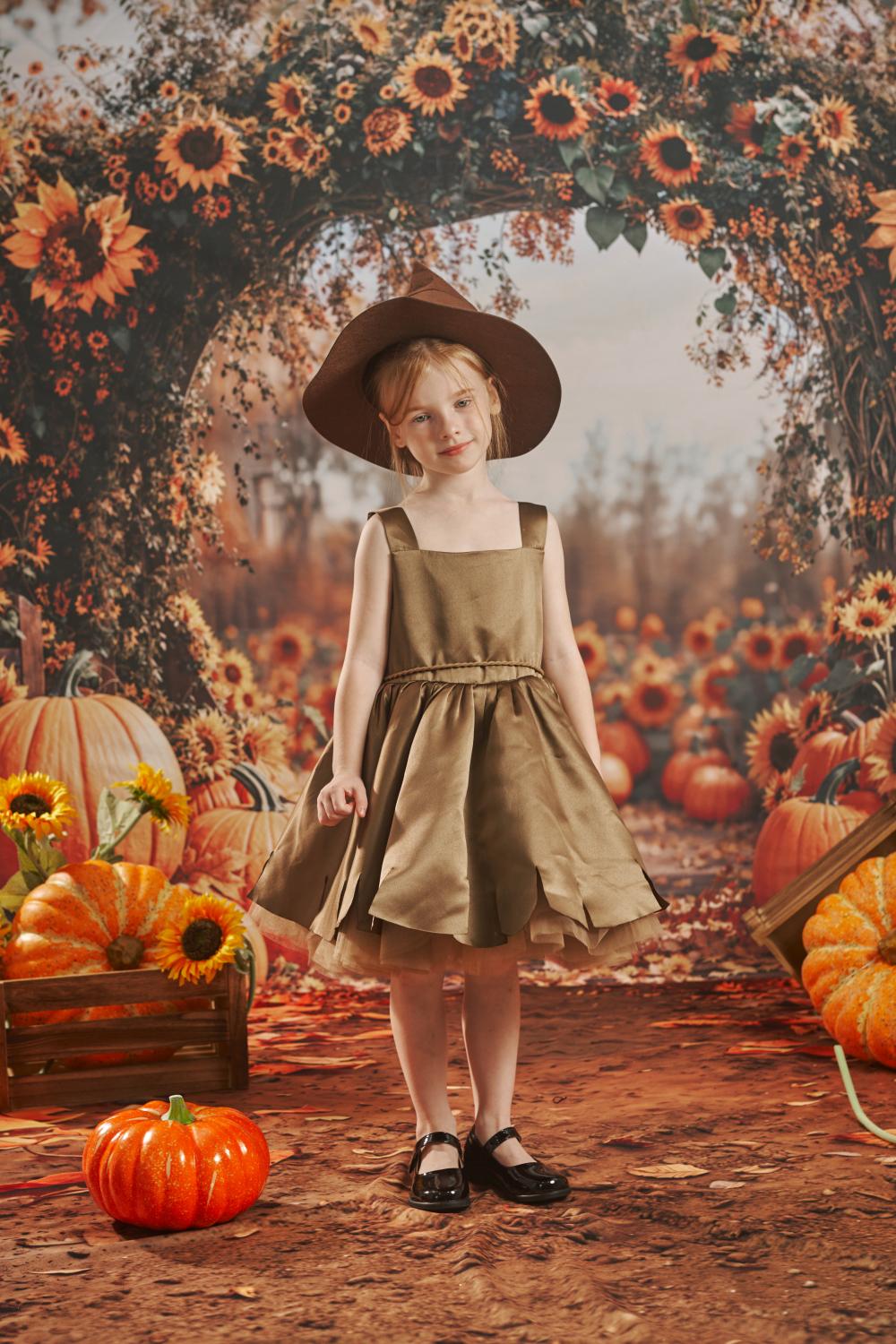 Kate Automne Tournesol Citrouille Arche Toile de fond+Tournesols Chemin Sol Toile de fond - Kate Backdrop FR