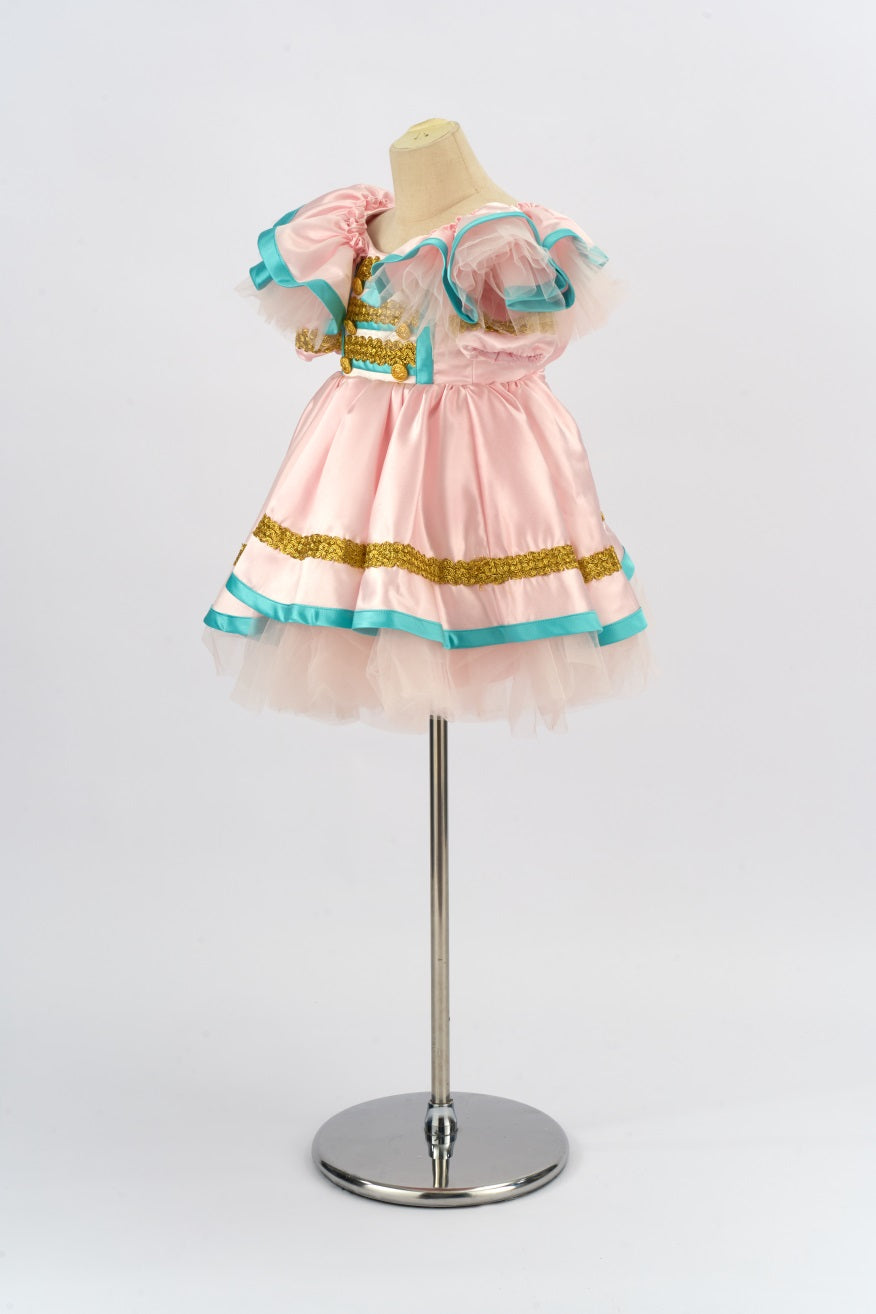 Kate Noël Conte de fées Rose Robe Enfant Pour la Photographie - Kate Backdrop FR