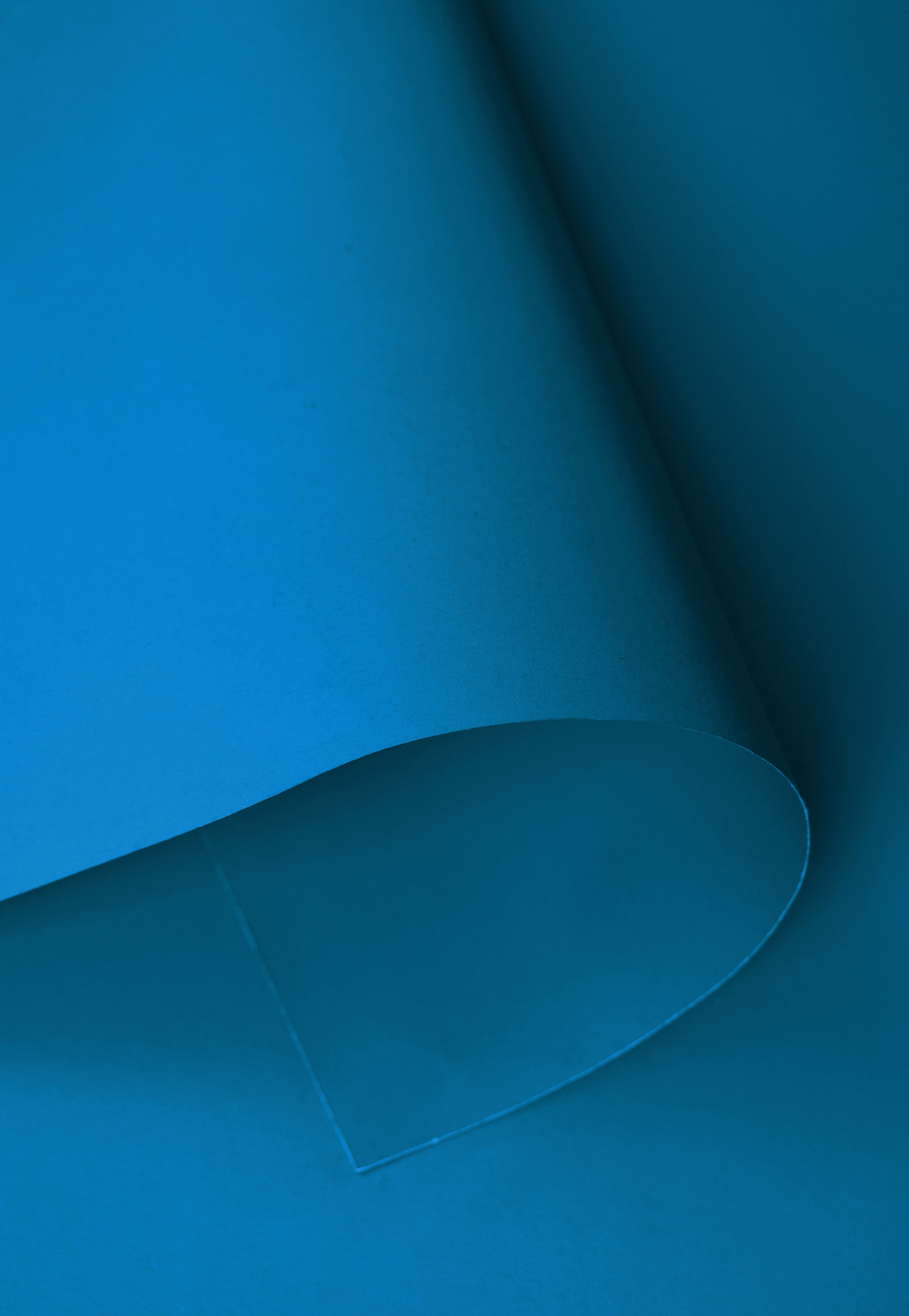 Kate Bleu Tropical Fond de Papier Sans Couture pour la photographie - Kate Backdrop FR