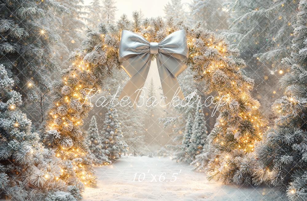Kate Hiver Arche Guirlande Lumineuse Toile de fond conçue par Emetselch - Kate Backdrop FR