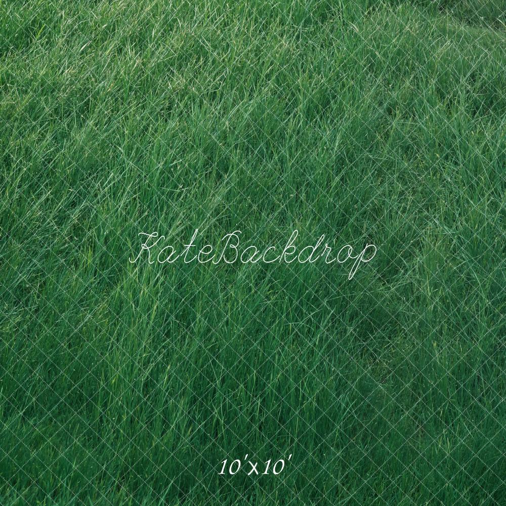 Kate Herbe Prairie Vert Sol Toile de fond conçue par Kate Image - Kate Backdrop FR