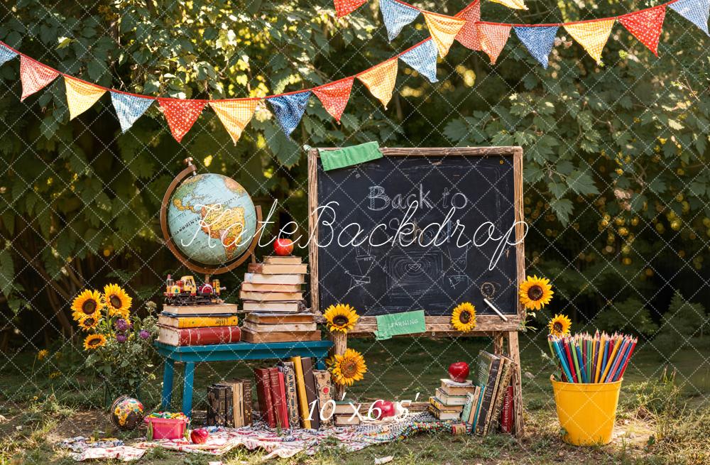 Kate Scolaire Tableau Noir Livres Globe Toile de fond conçue par Emetselch - Kate Backdrop FR