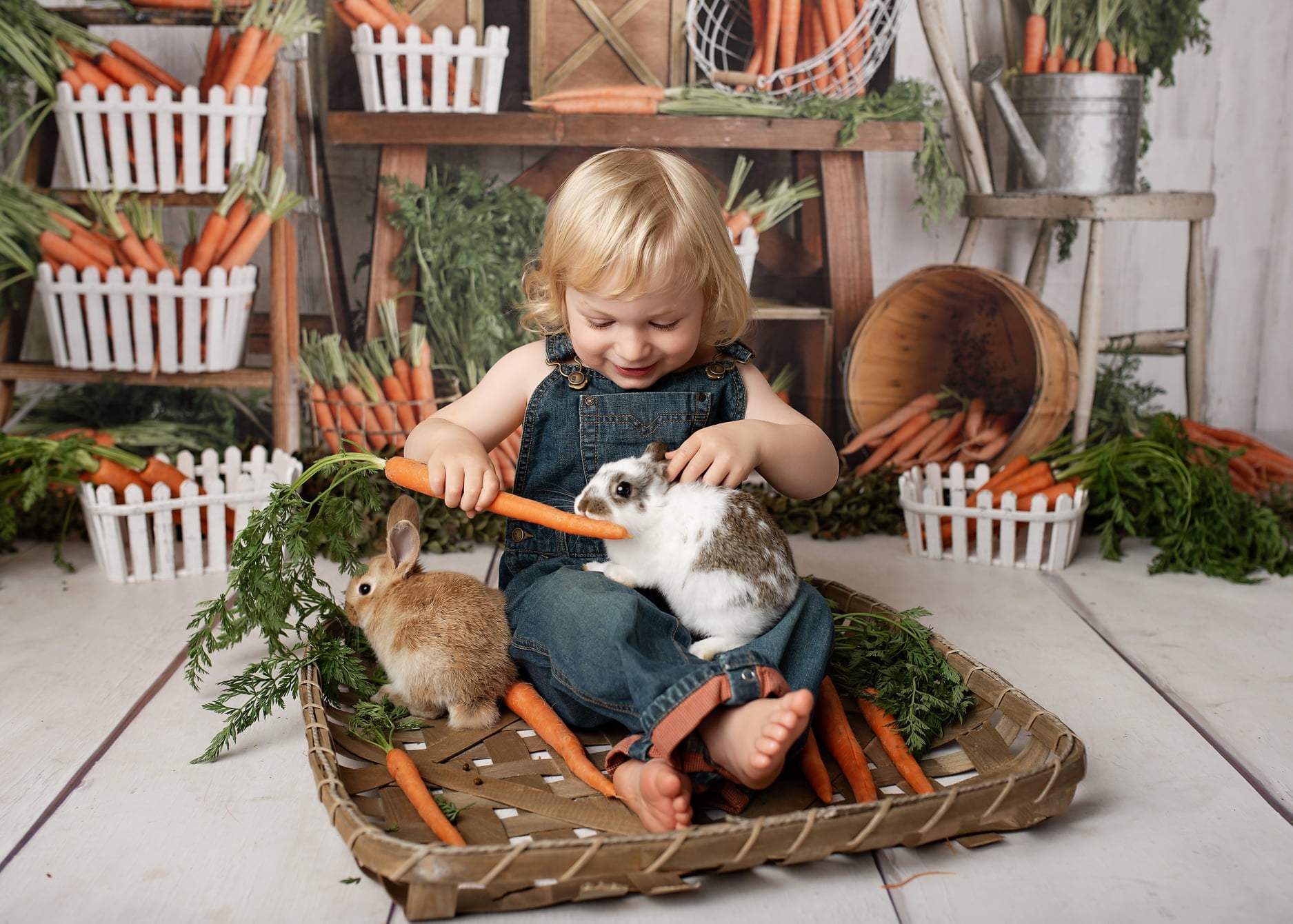 Kate Printemps Pâques Carottes Bois Enfant Toile de fond conçue par Mandy Ringe - Kate Backdrop FR