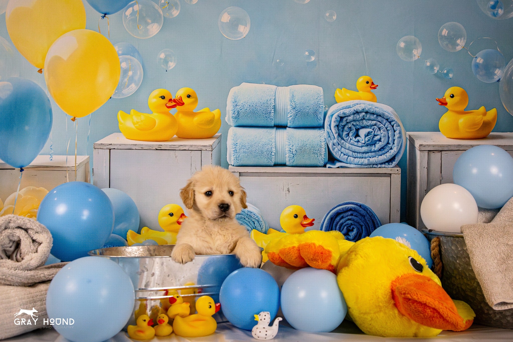 Kate Cake smash Canard Ballon Douche Toile de fond conçue par Emetselch - Kate Backdrop FR