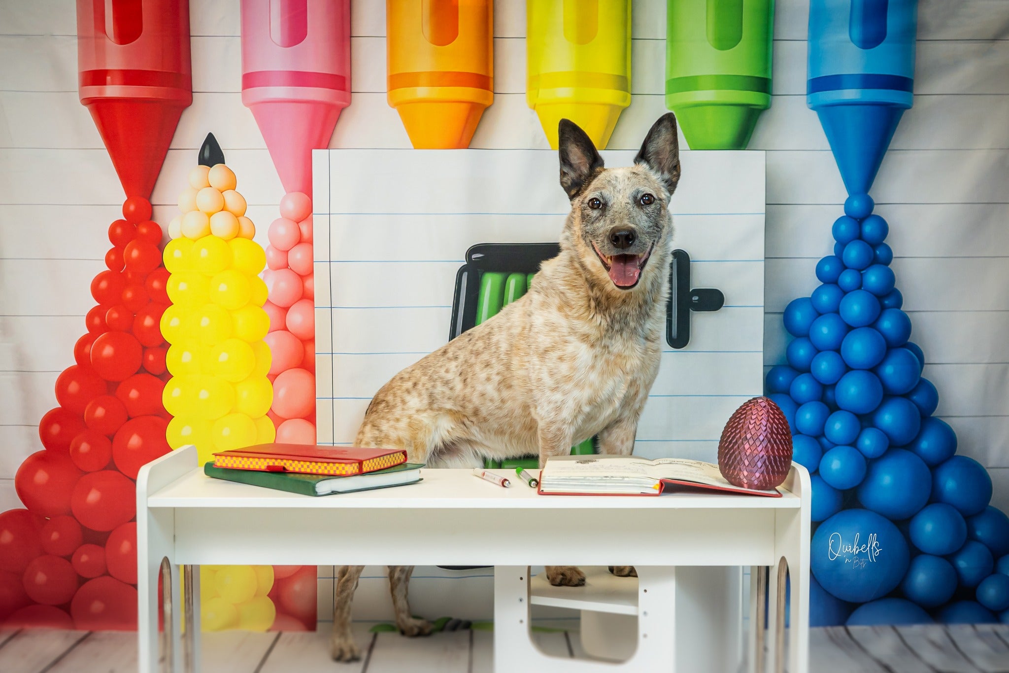 Kate Scolaire Coloré Crayon A+ Ballons Toile de fond conçue par Patty Roberts - Kate Backdrop FR