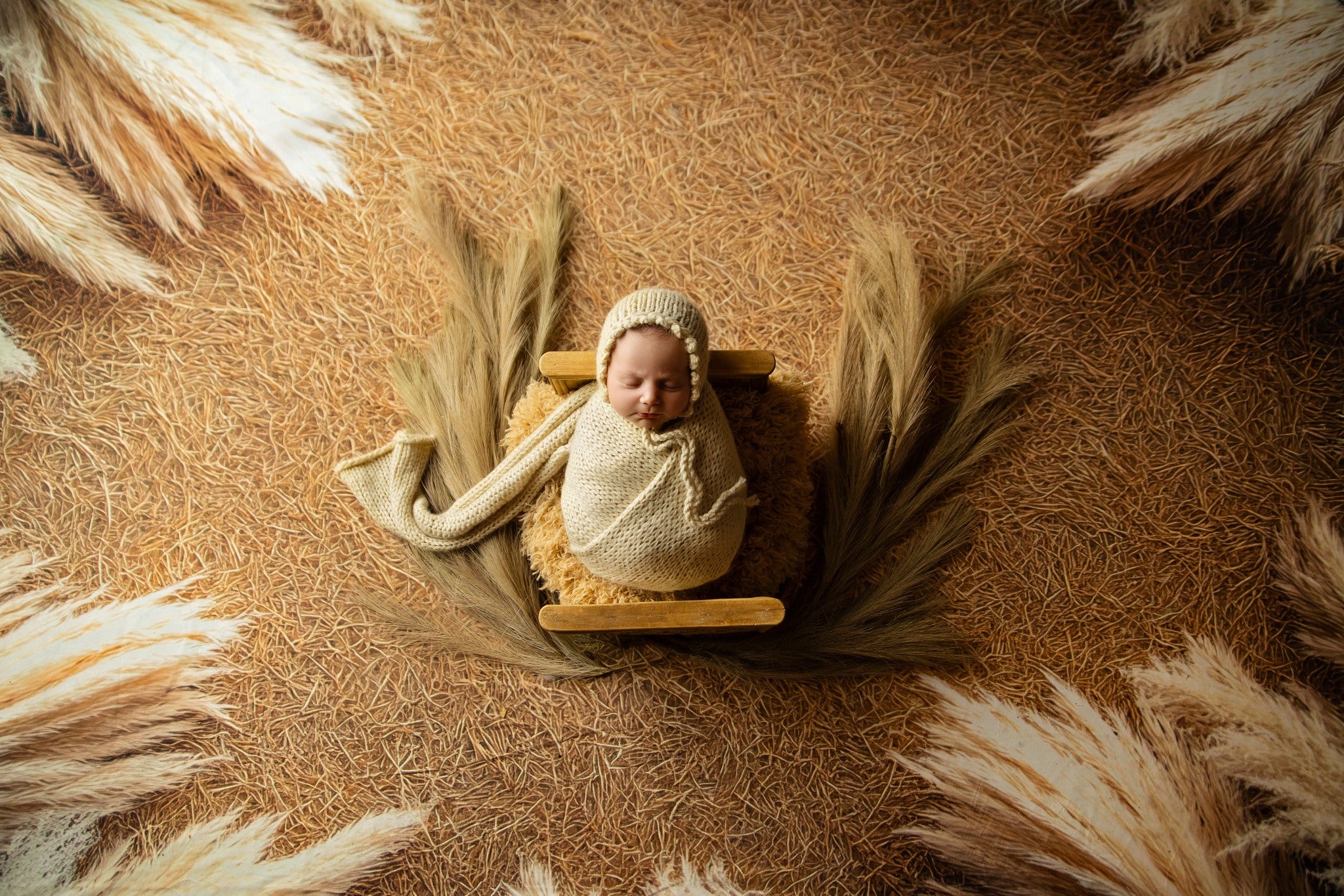 Kate Bohème Herbe de la Pampa Sol Toile de fond conçue par Mini MakeBelieve - Kate Backdrop FR