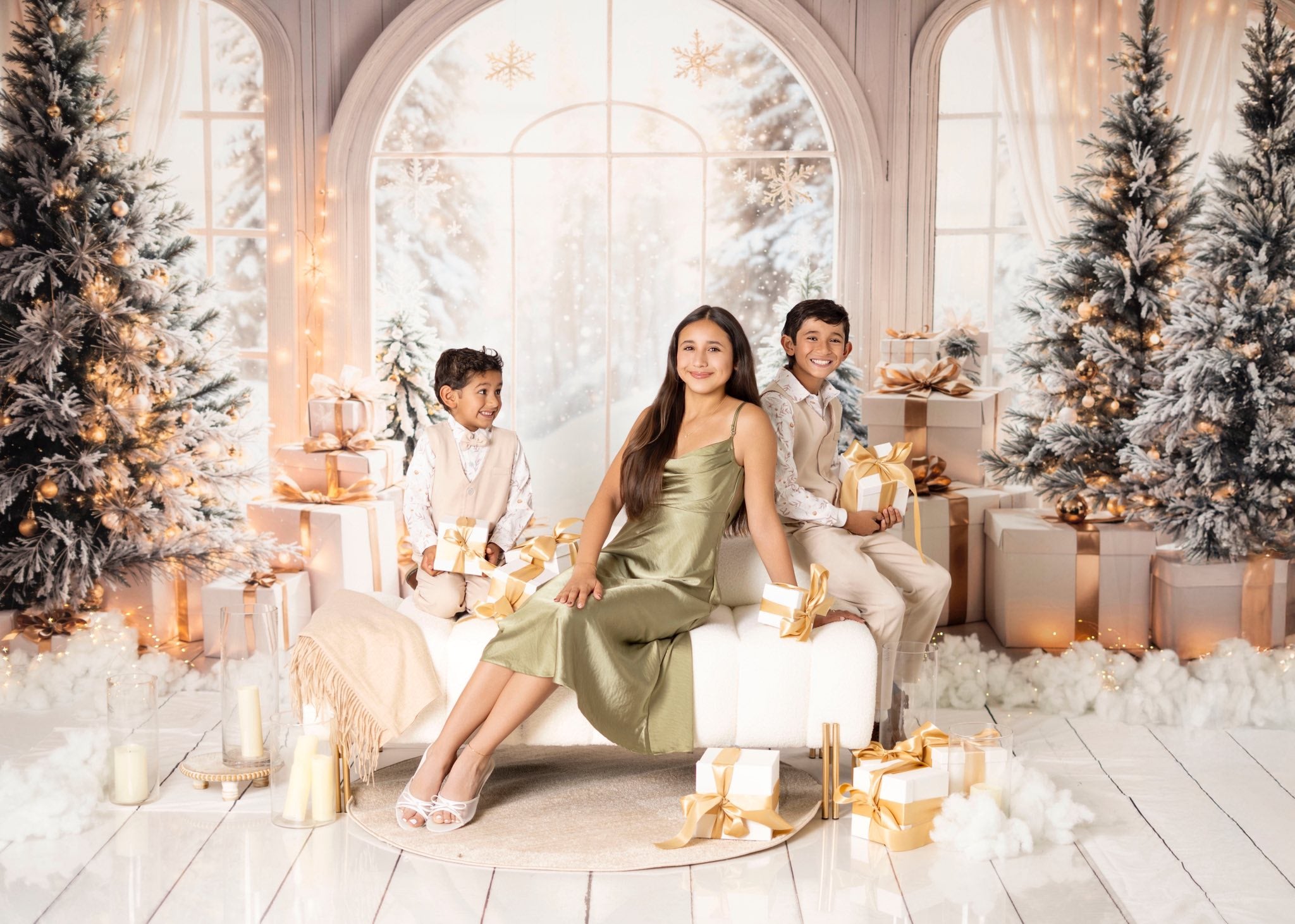 Kate Blanc Arche Fenêtre Sapin de Noël Cadeaux Toile de fond conçue par Emetselch - Kate Backdrop FR