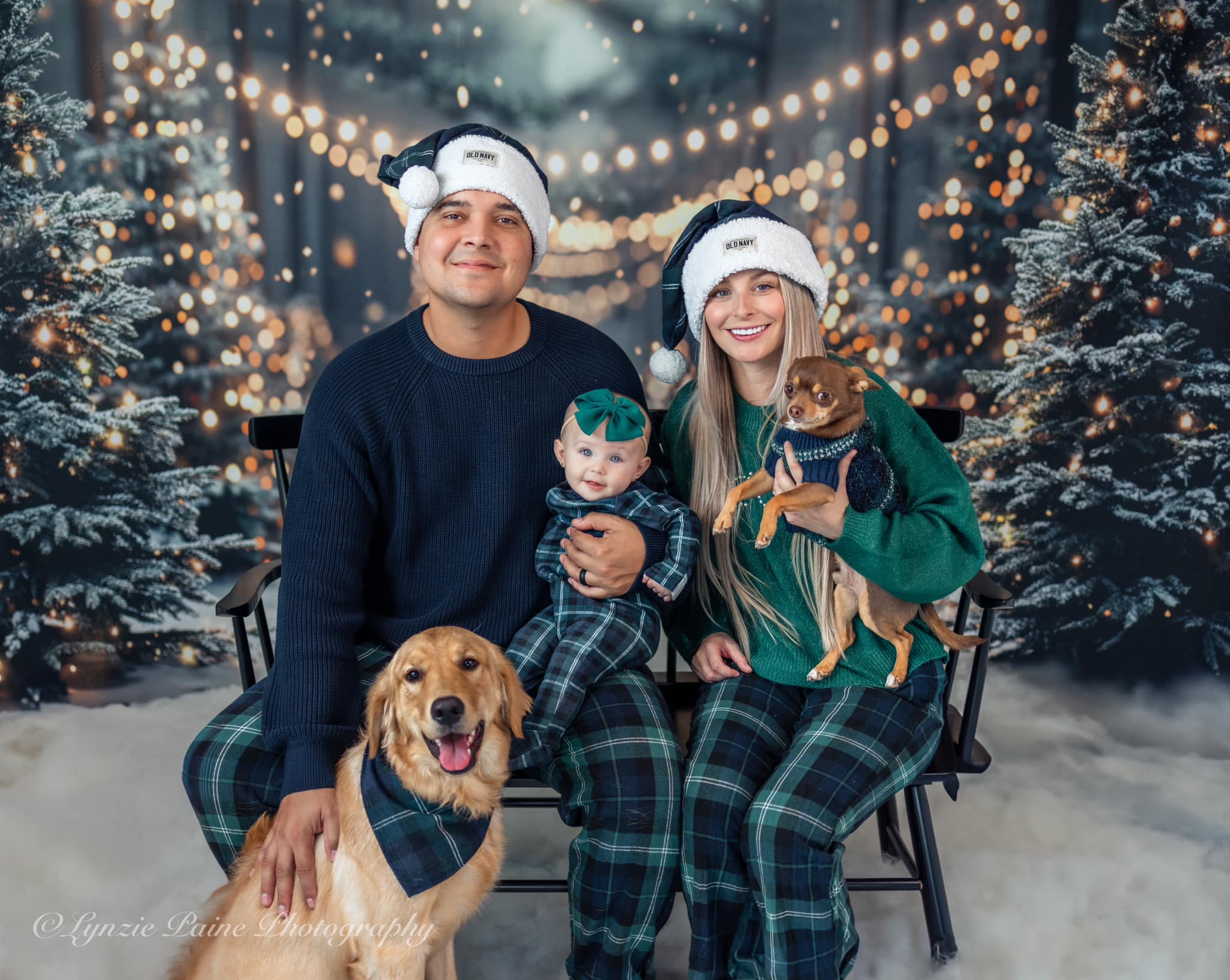 Kate Hiver Noël Extérieur Forêt Neige Lumière Toile de fond conçue par Emetselch - Kate Backdrop FR