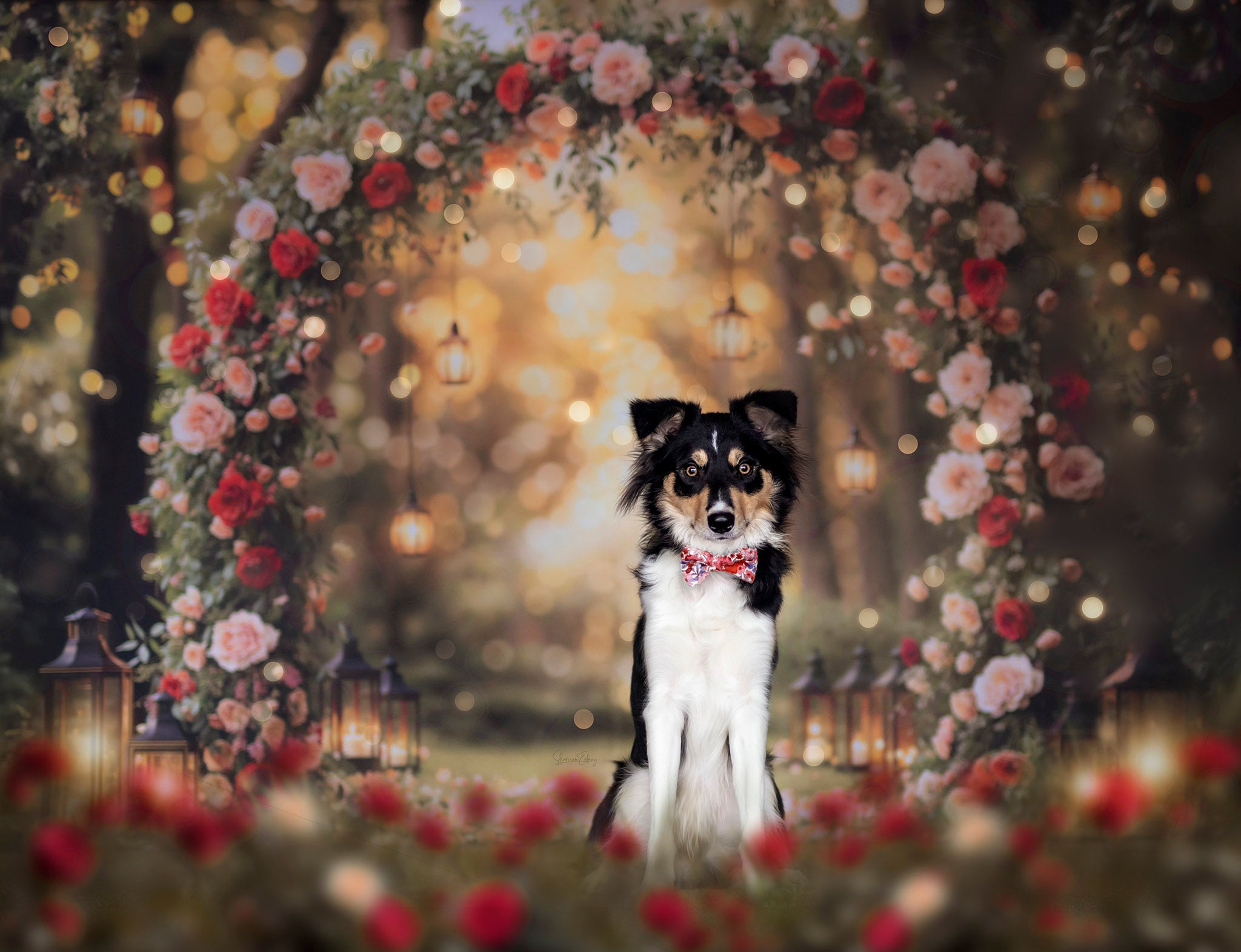 Kate Saint Valentin Arche de Fleurs Mariage Toile de fond conçue par Emetselch - Kate Backdrop FR