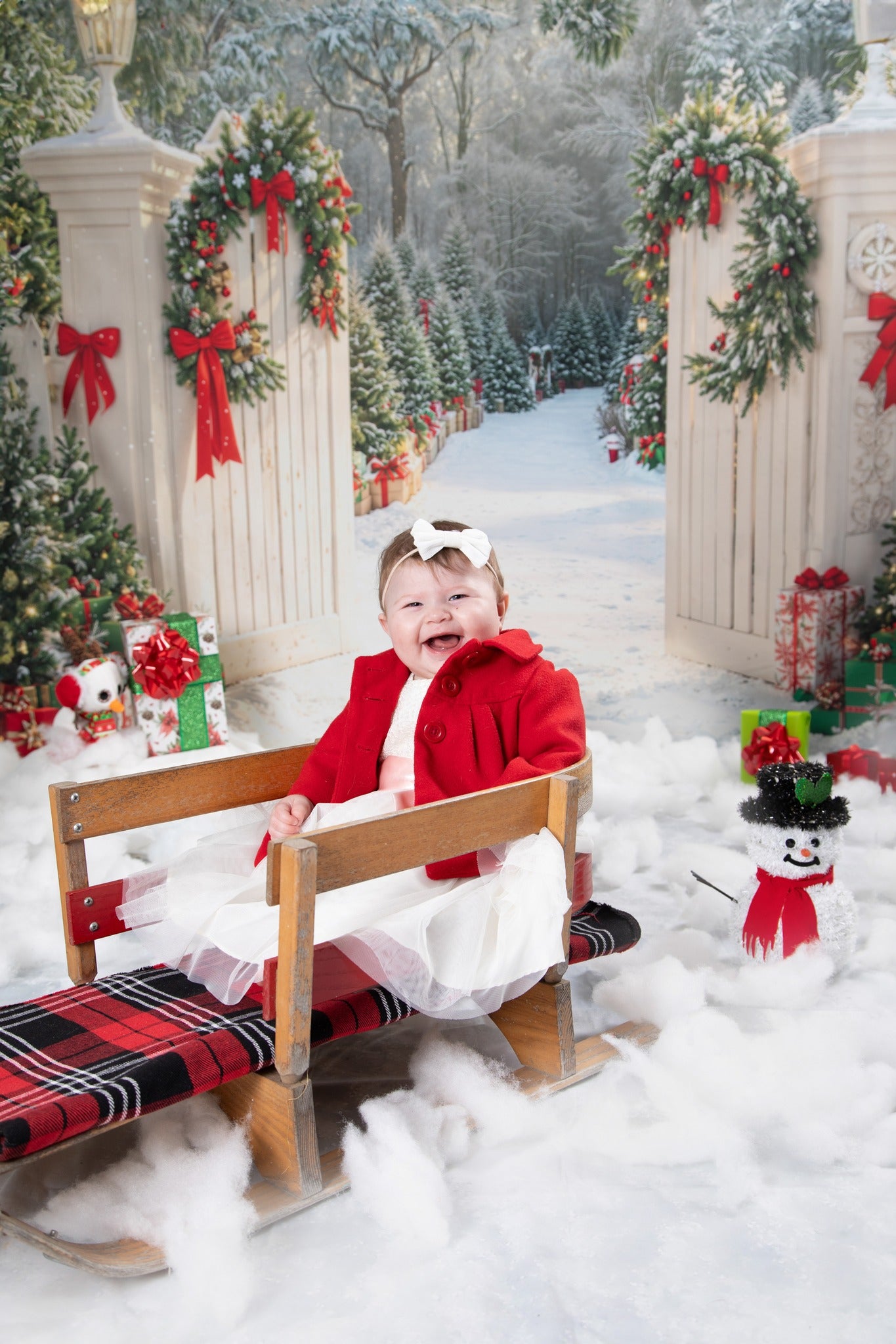 Kate Noël Neige Portail Jardin Chemin Toile de fond conçue par Emetselch - Kate Backdrop FR