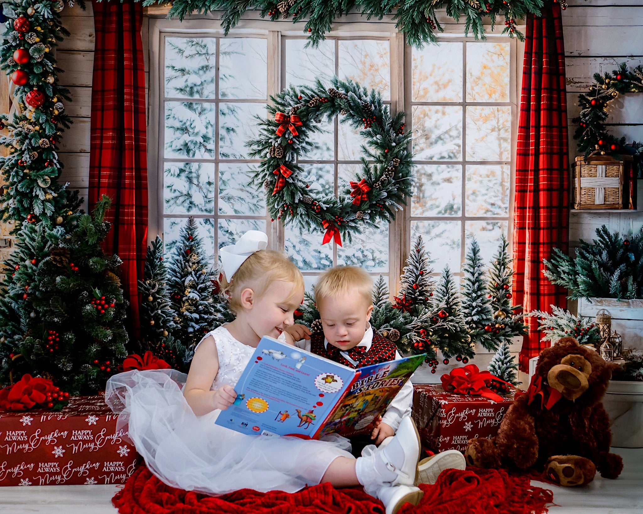 Kate Noël Fenêtre Guirlande Rideau Toile de fond conçue par Emetselch - Kate Backdrop FR