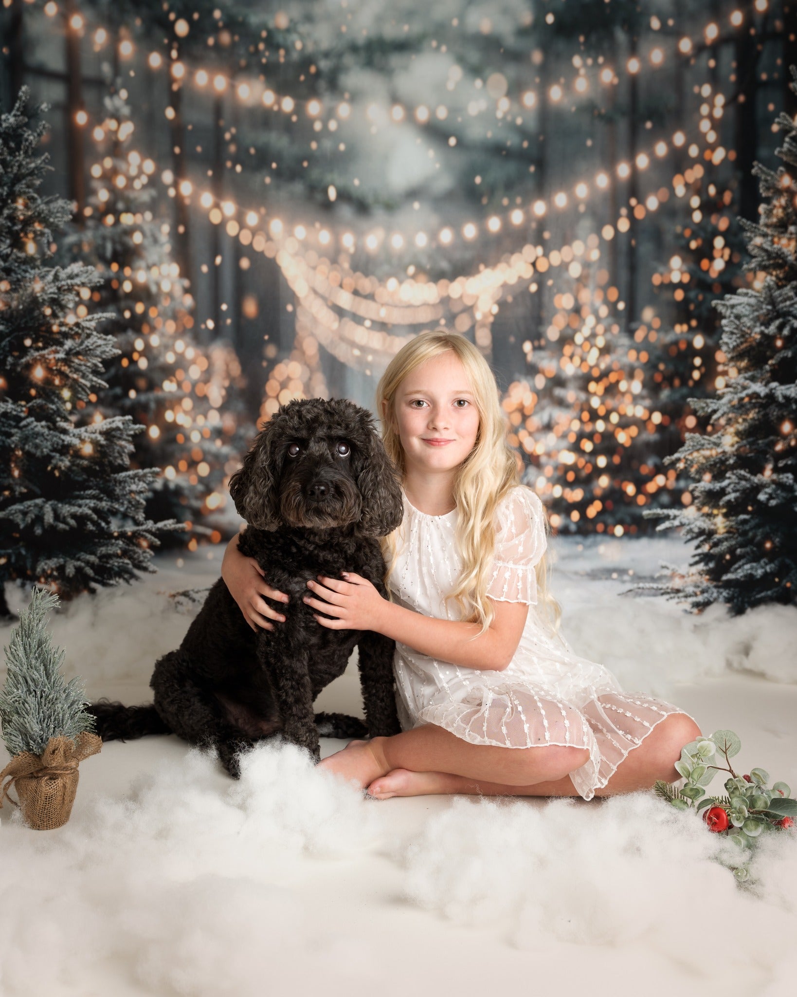 Offres Éclair #4 Kate Hiver Noël Extérieur Forêt Neige Lumière Toile de fond conçue par Emetselch - Kate Backdrop FR