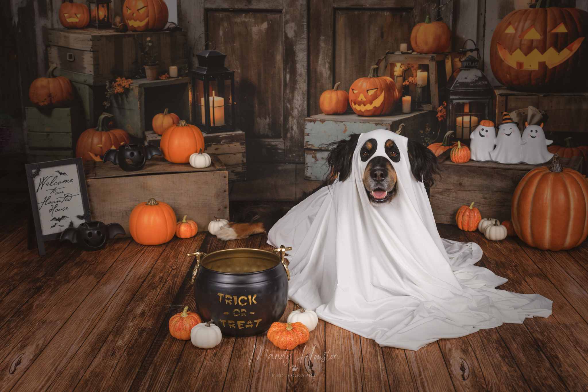 Kate Halloween Lanterne Citrouille Grange Toile de fond Conçu par Chain Photographie - Kate Backdrop FR