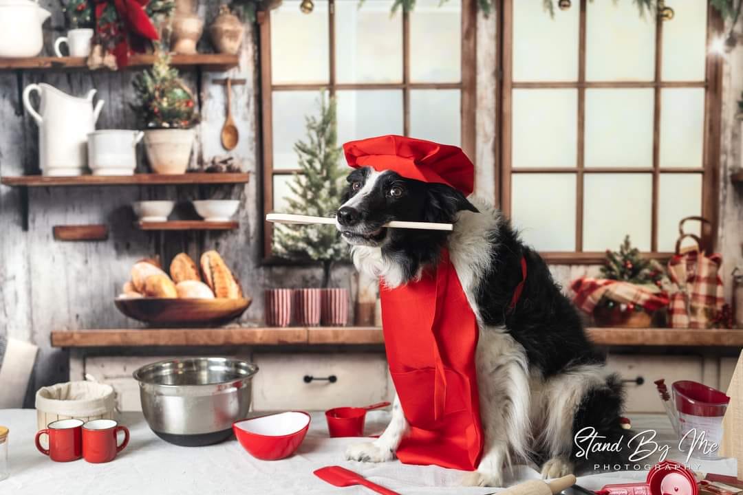 Offres Éclair #1 Kate Noël Cuisine Mur en bois Fenêtre Toile de fond conçue par Emetselch - Kate Backdrop FR