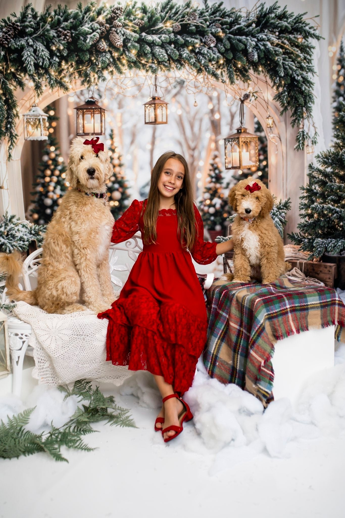 Kate Noël Arche Neige Arbres Lumière Toile de fond conçue par Emetselch - Kate Backdrop FR