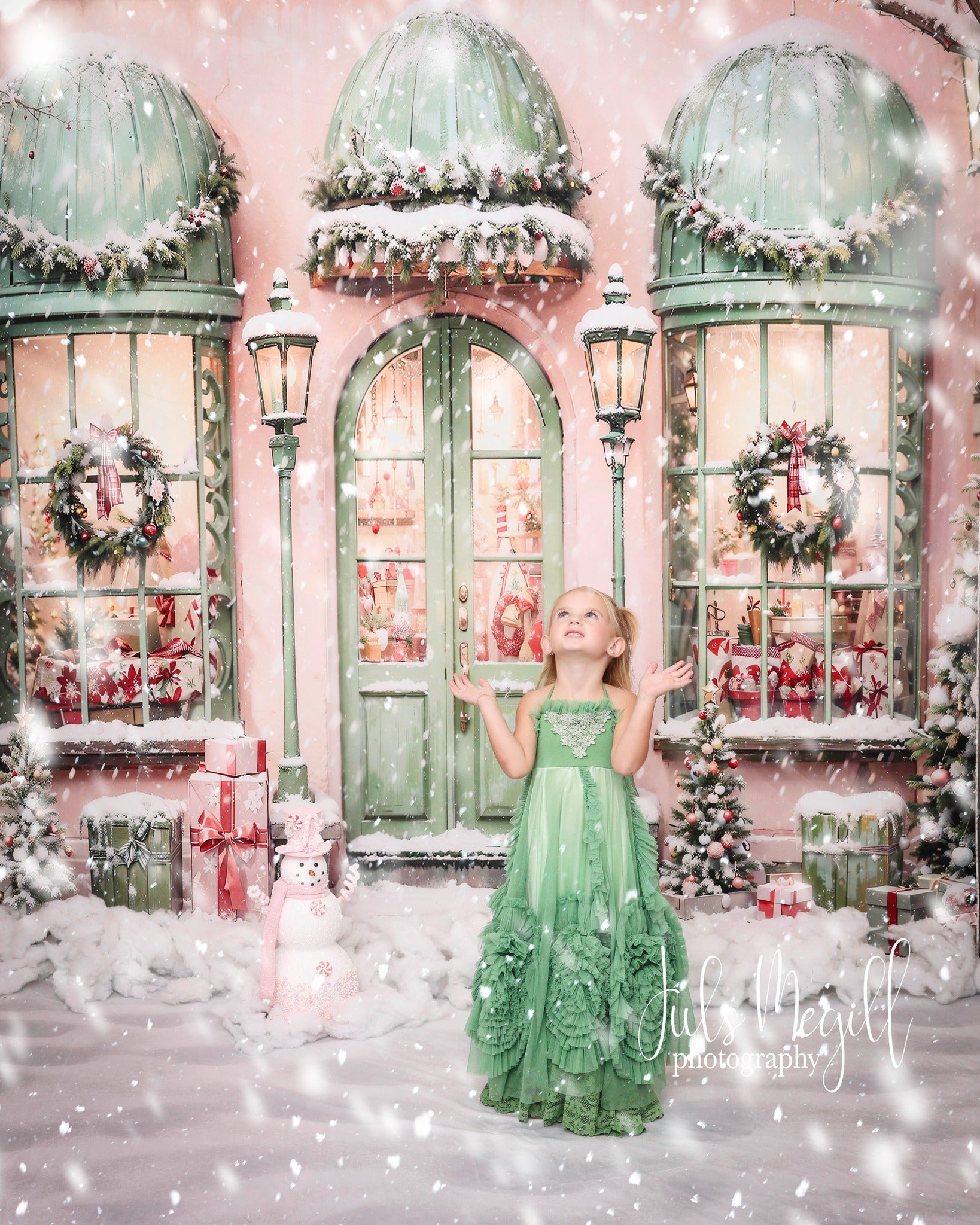 Offres Éclair #2 Kate Noël Maison Rose Neige Cadeaux Toile de fond Conçu par Chain Photographie - Kate Backdrop FR
