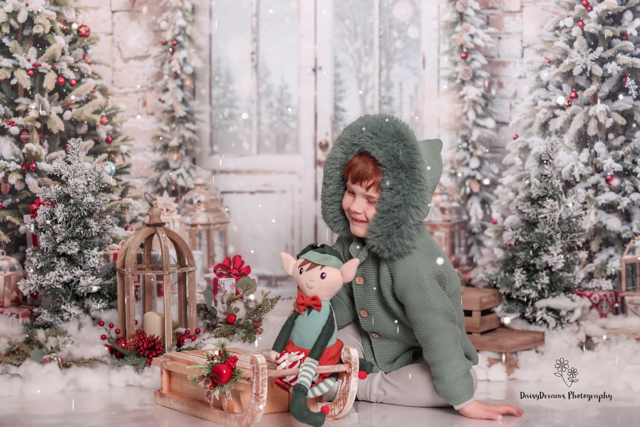 Kate Noël Arbres Neige Porte Toile de fond conçu par Emetselch - Kate Backdrop FR