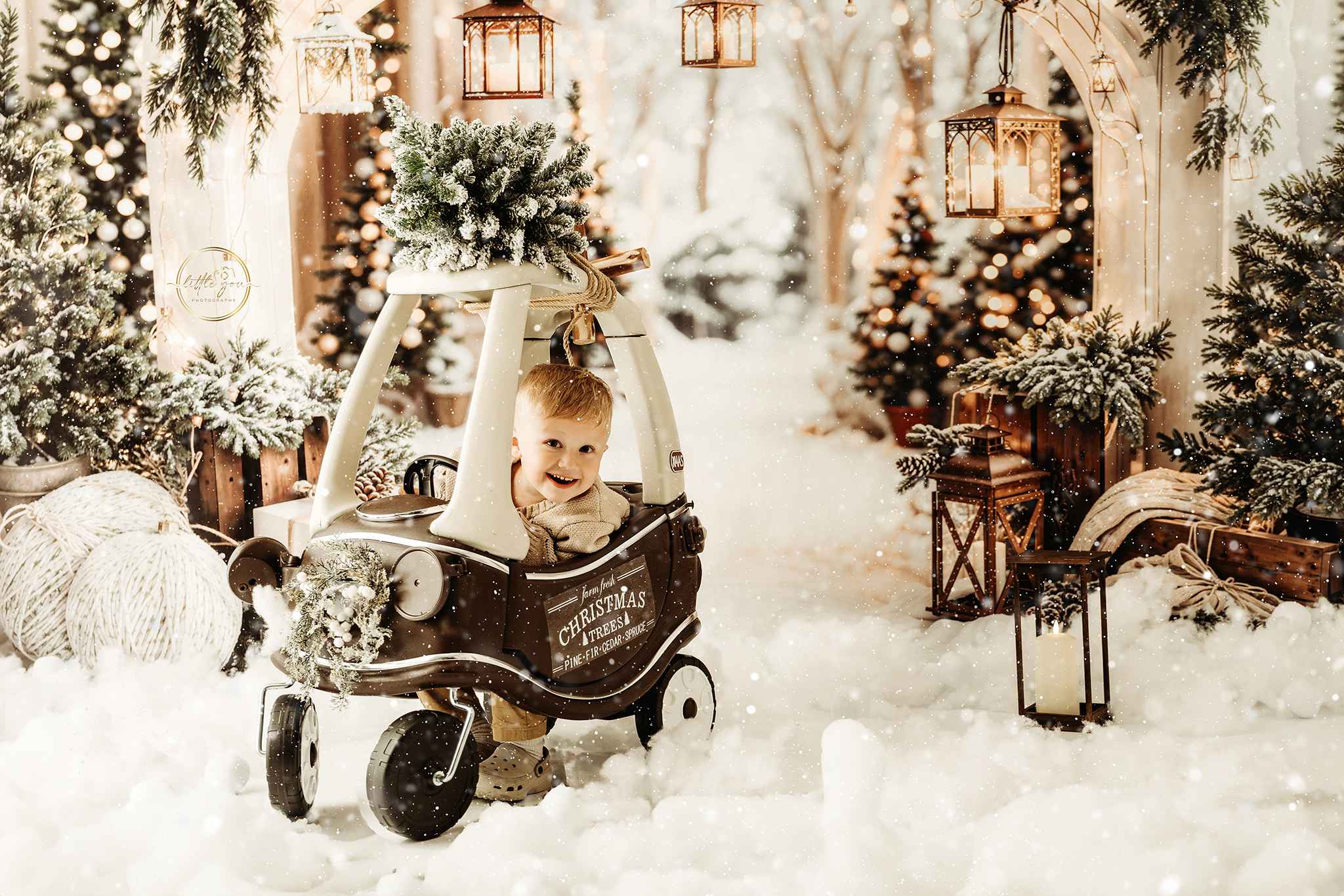 Kate Noël Arche Neige Arbres Lumière Toile de fond conçue par Emetselch - Kate Backdrop FR