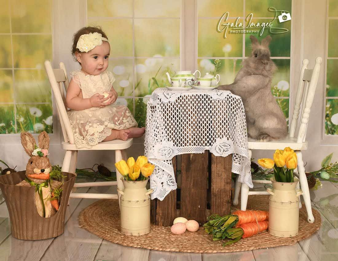 Kate Jardin Printemps Vert Fenêtre Toile de fond conçue par Emetselch - Kate Backdrop FR