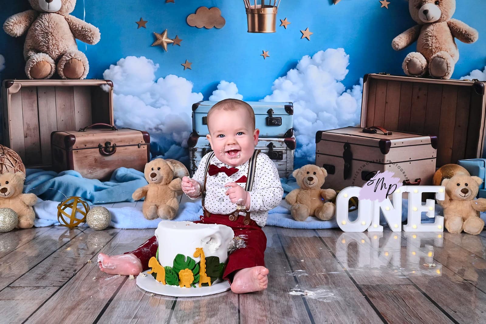 Kate Dessin animé Montgolfière Ours en peluche Toile de fond conçue par Emetselch - Kate Backdrop FR