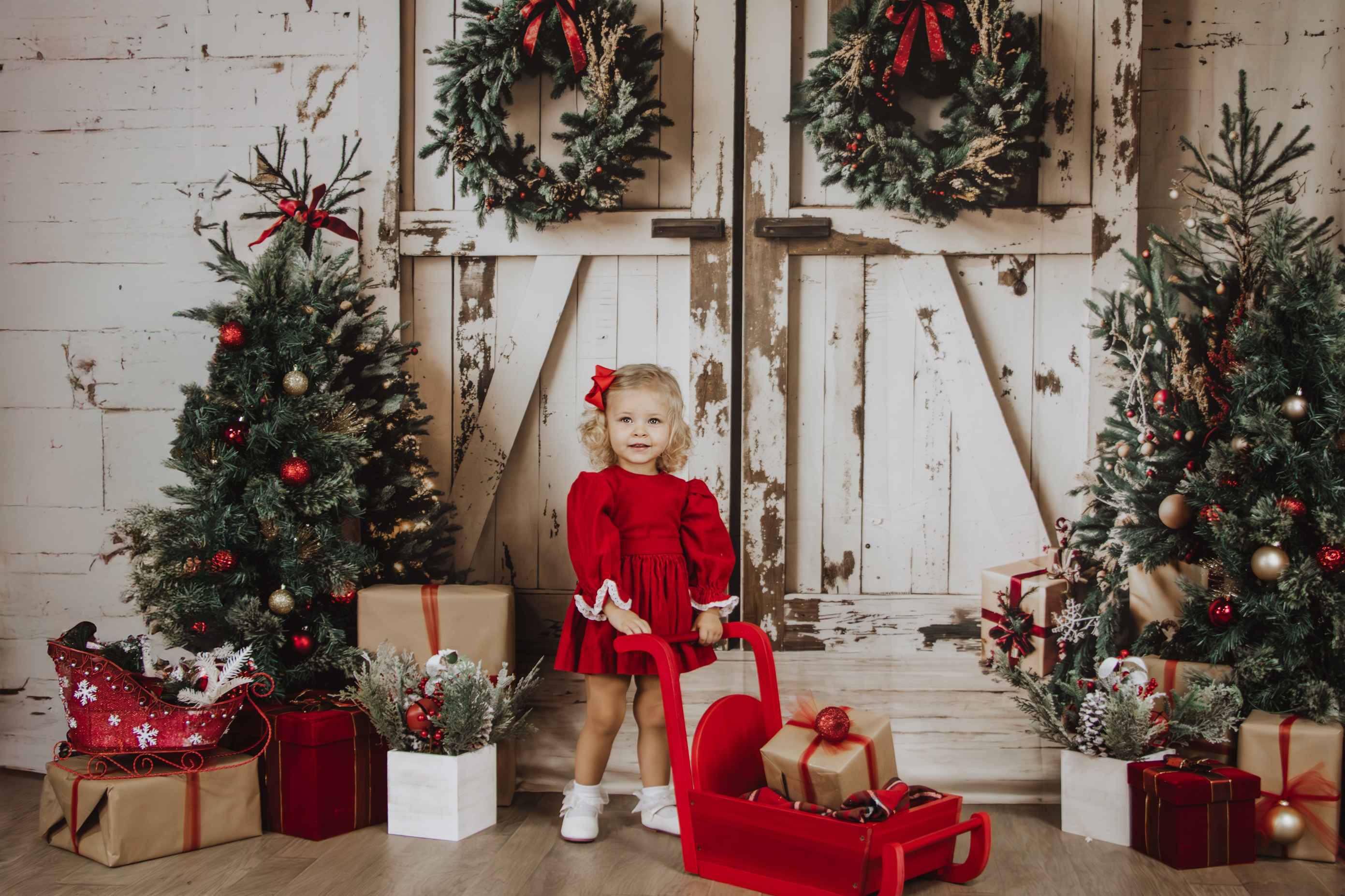 Kate Noël Blanc Porte Minable Cadeaux Toile de fond conçue par Emetselch - Kate Backdrop FR