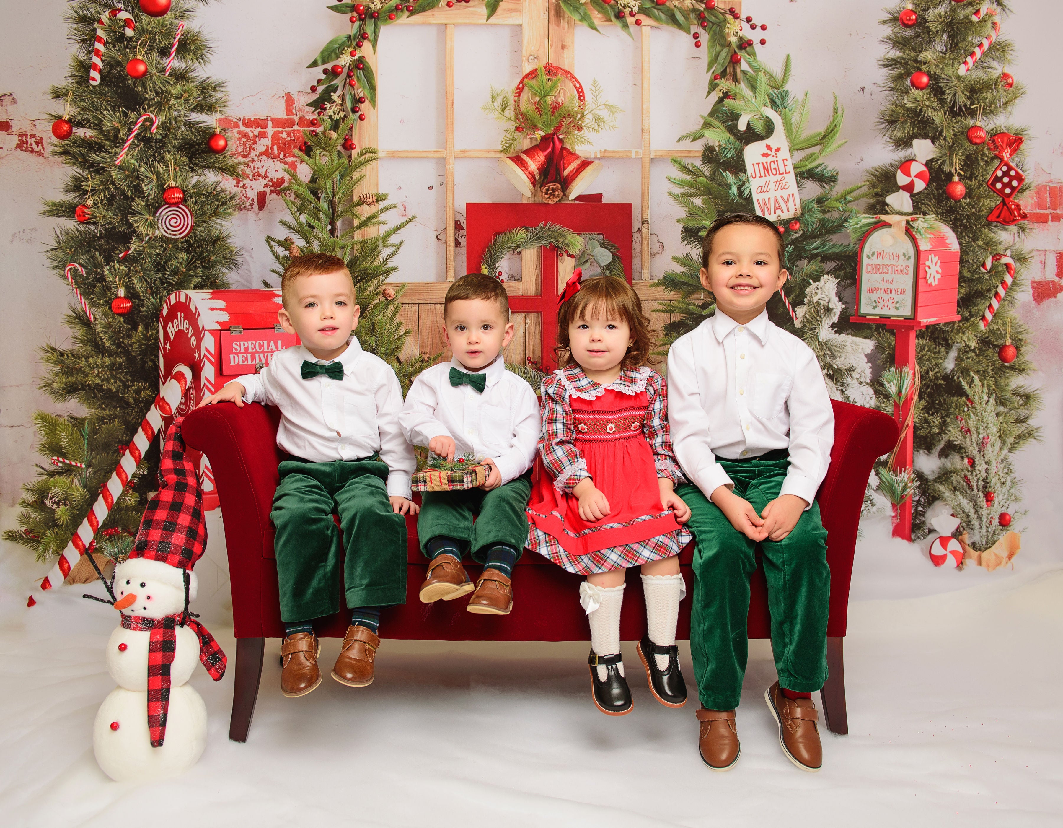 Kate Noël Neige Boites aux lettres Arbres Toile de fond conçue par Emetselch - Kate Backdrop FR