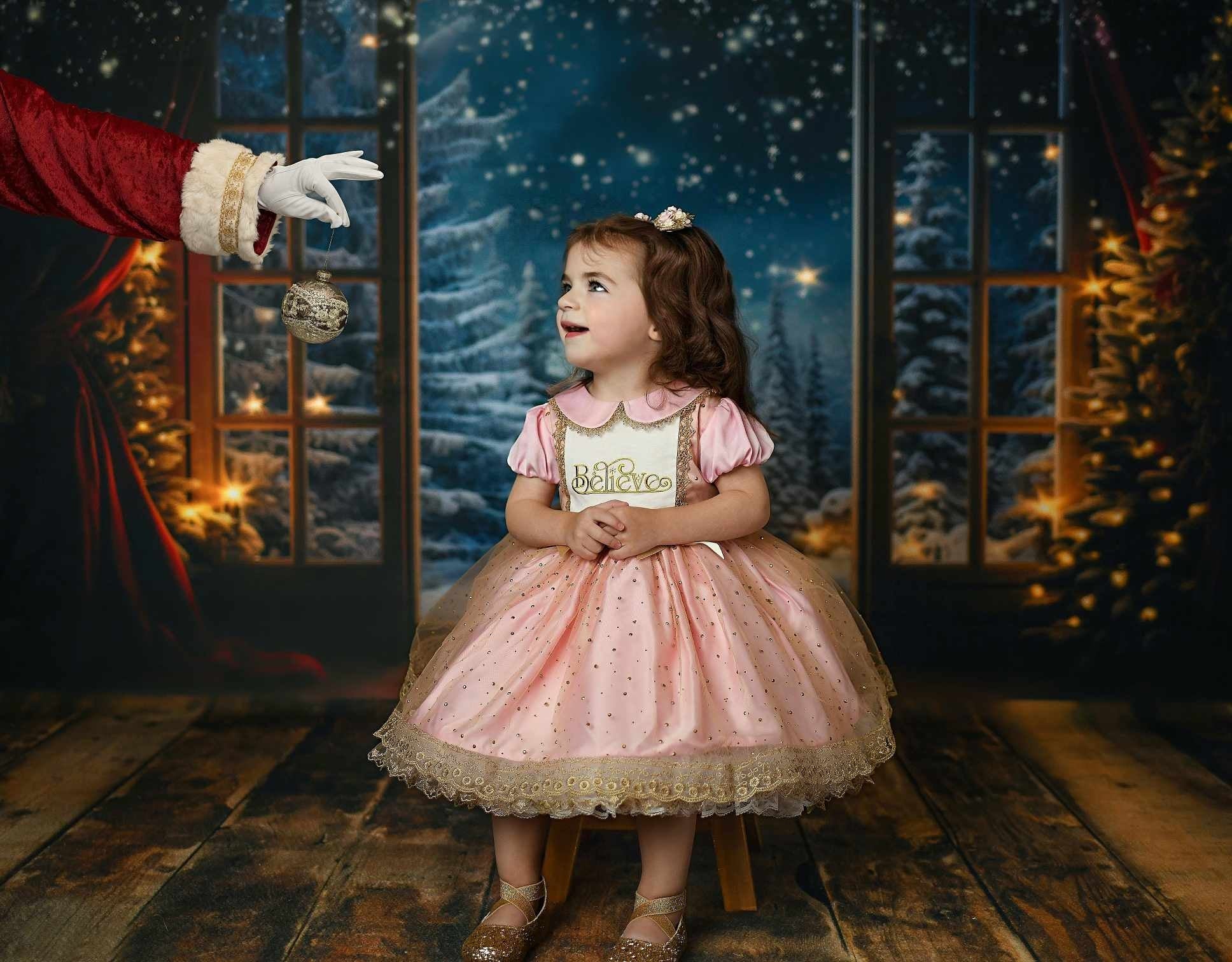 Kate Hiver Noël Arbres Neige Fenêtre Points dorés Toile de fond conçue par Mini MakeBelieve - Kate Backdrop FR