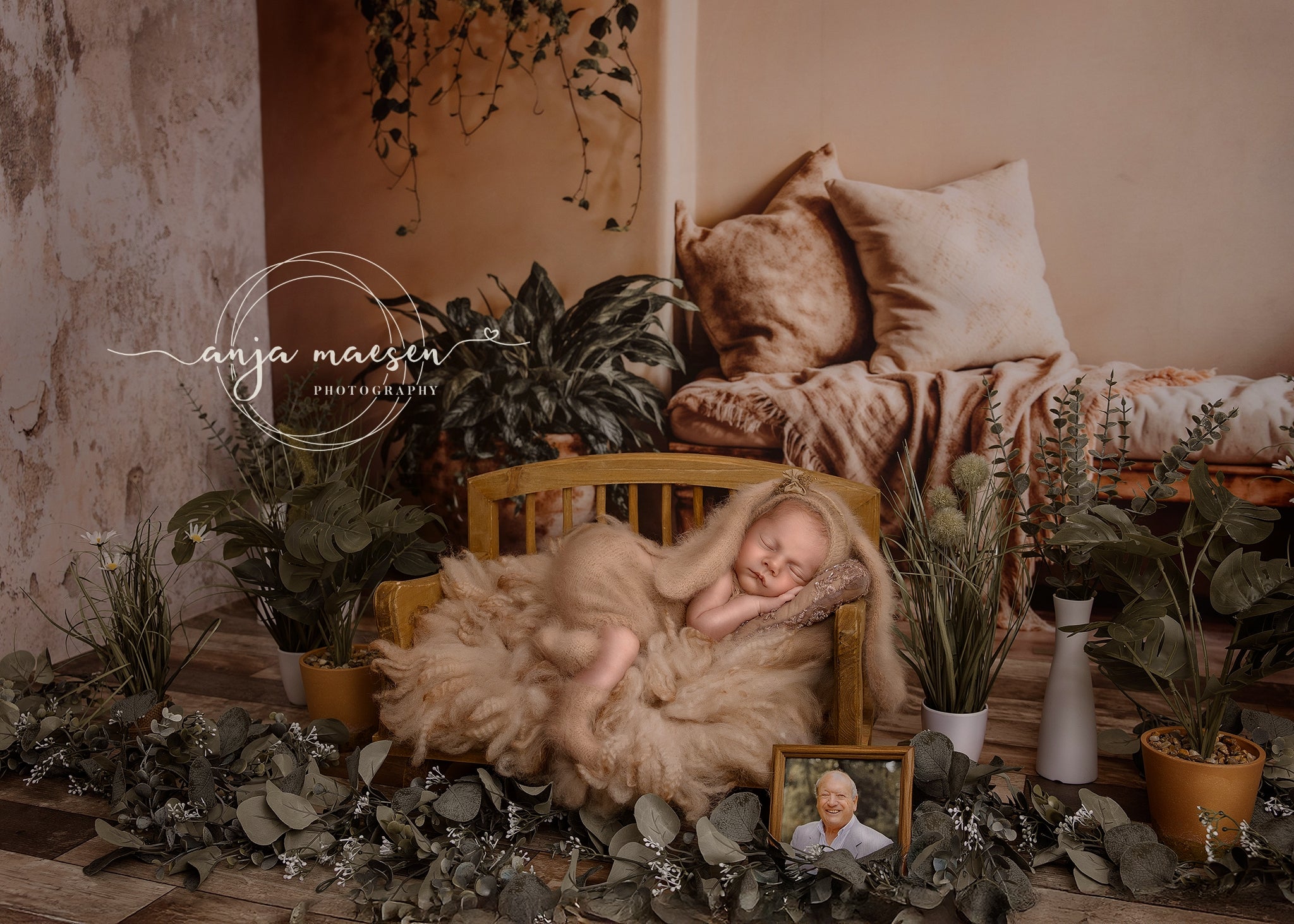 Kate Été Intérieur Plante Beige Oreiller Arche Toile de fond conçue par Emetselch - Kate Backdrop FR