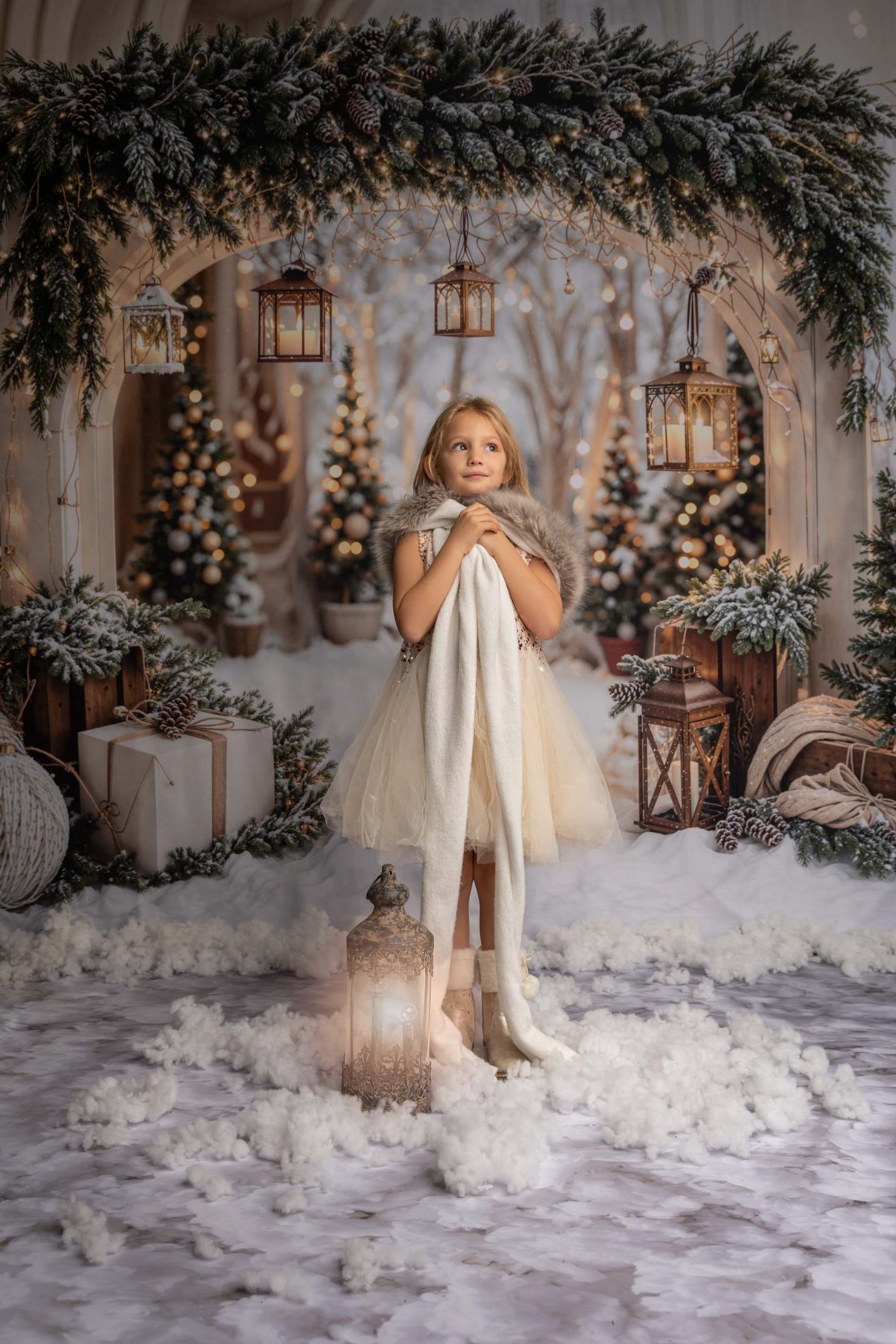 Kate Noël Arche Neige Arbres Lumière Toile de fond conçue par Emetselch - Kate Backdrop FR