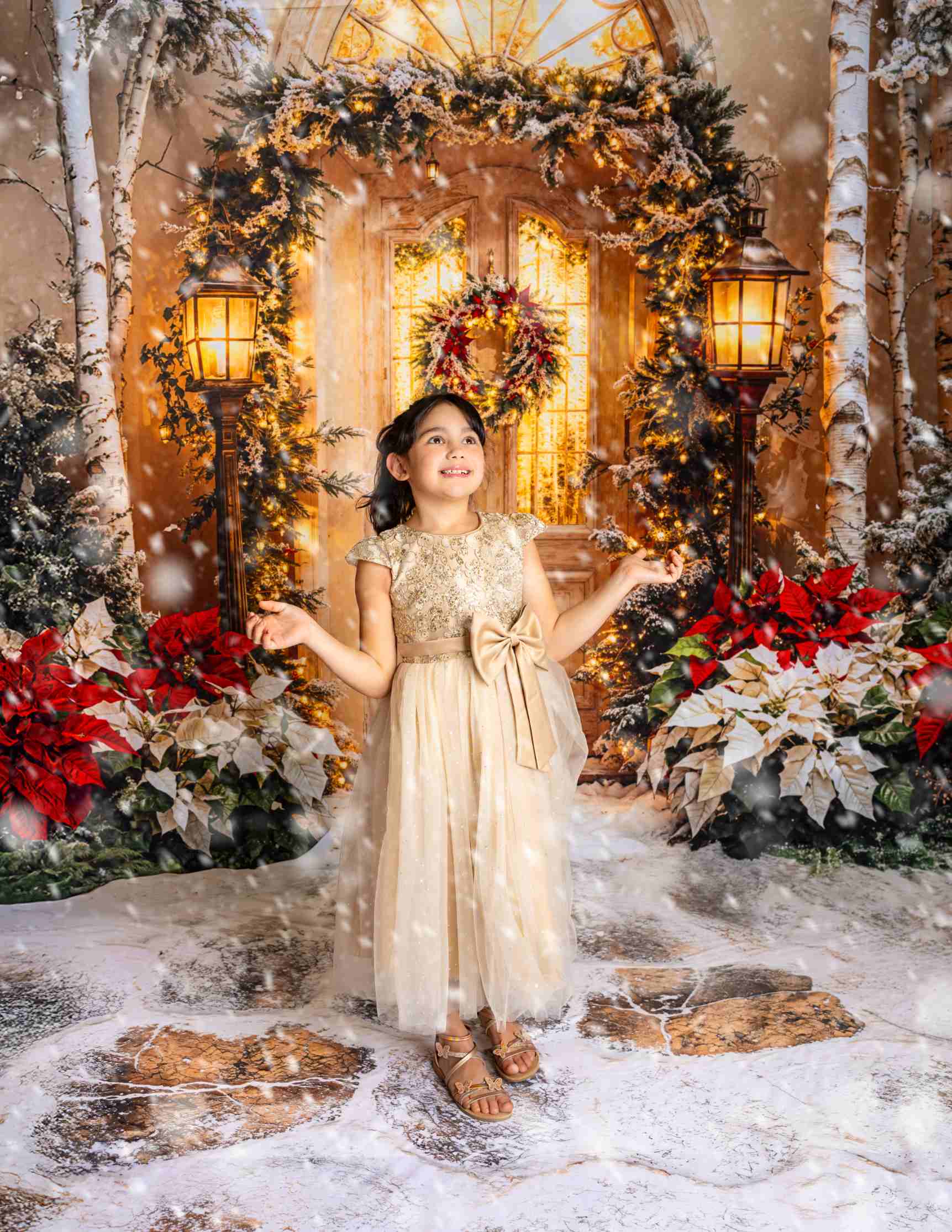 Kate Noël Porte Lumière Fleurs Neige Arbres Ensemble de chambre - Kate Backdrop FR