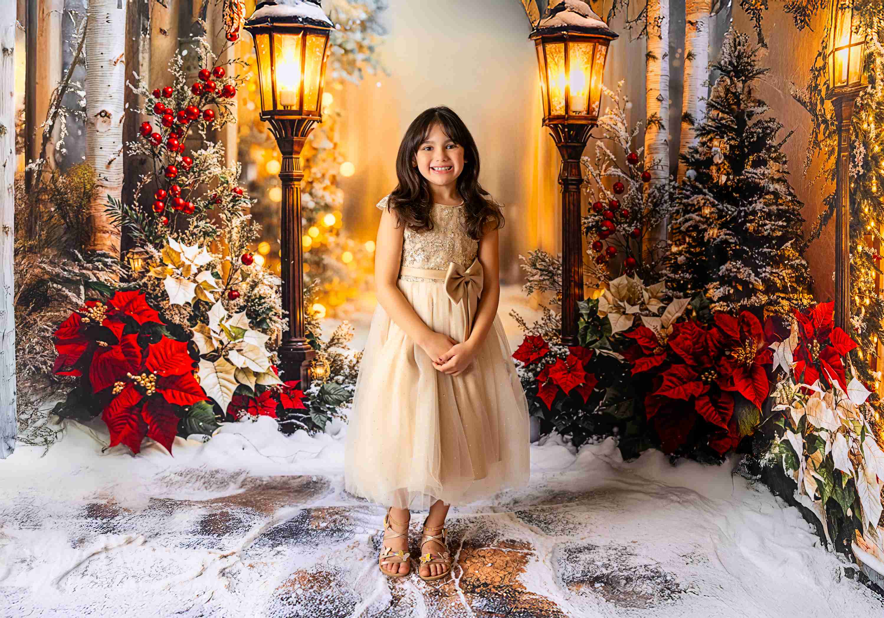 Kate Noël Porte Lumière Fleurs Neige Arbres Ensemble de chambre - Kate Backdrop FR