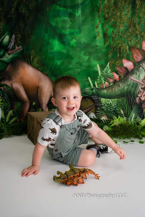 Kate Été Jungle Aventure Dinosaures Toile de fond conçue par Mandy Ringe - Kate Backdrop FR