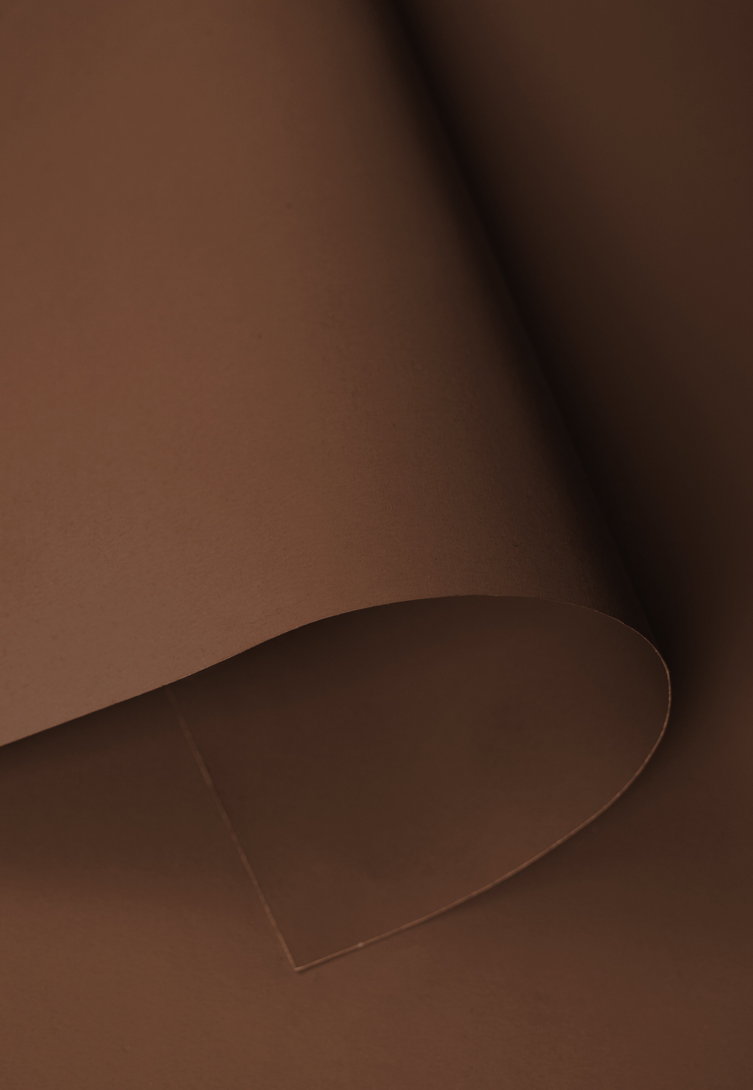 Kate Brun Cacao Fond de Papier Sans Couture pour la photographie - Kate Backdrop FR