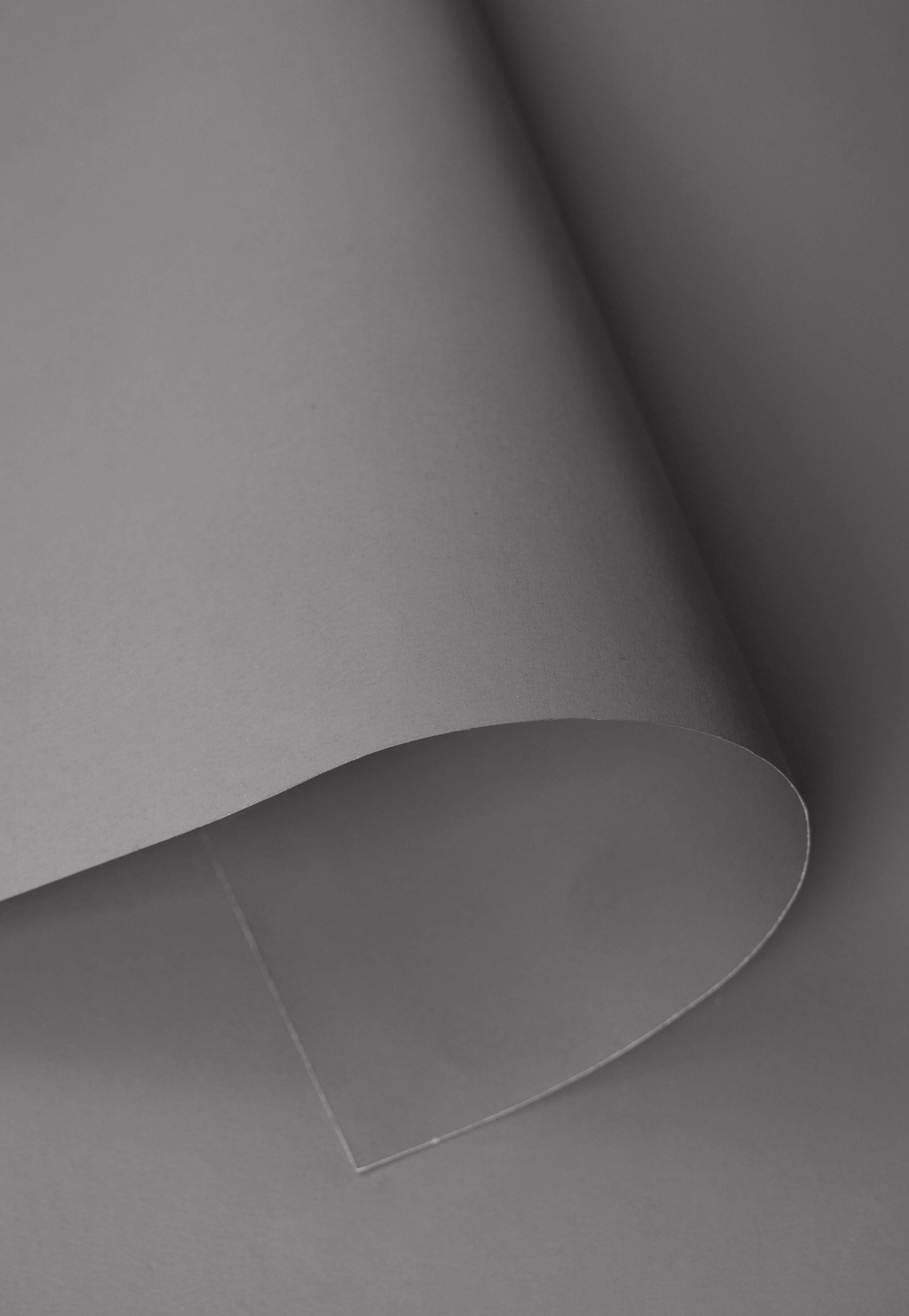 Kate Gris Neutre Fond de Papier Sans Couture pour la photographie - Kate Backdrop FR