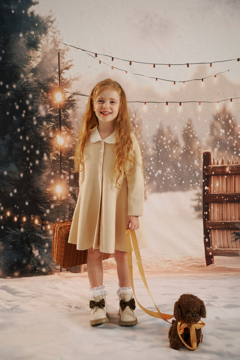 Kate Hiver Neige Portail Noël Lumière Toile de fond conçue par Emetselch - Kate Backdrop FR