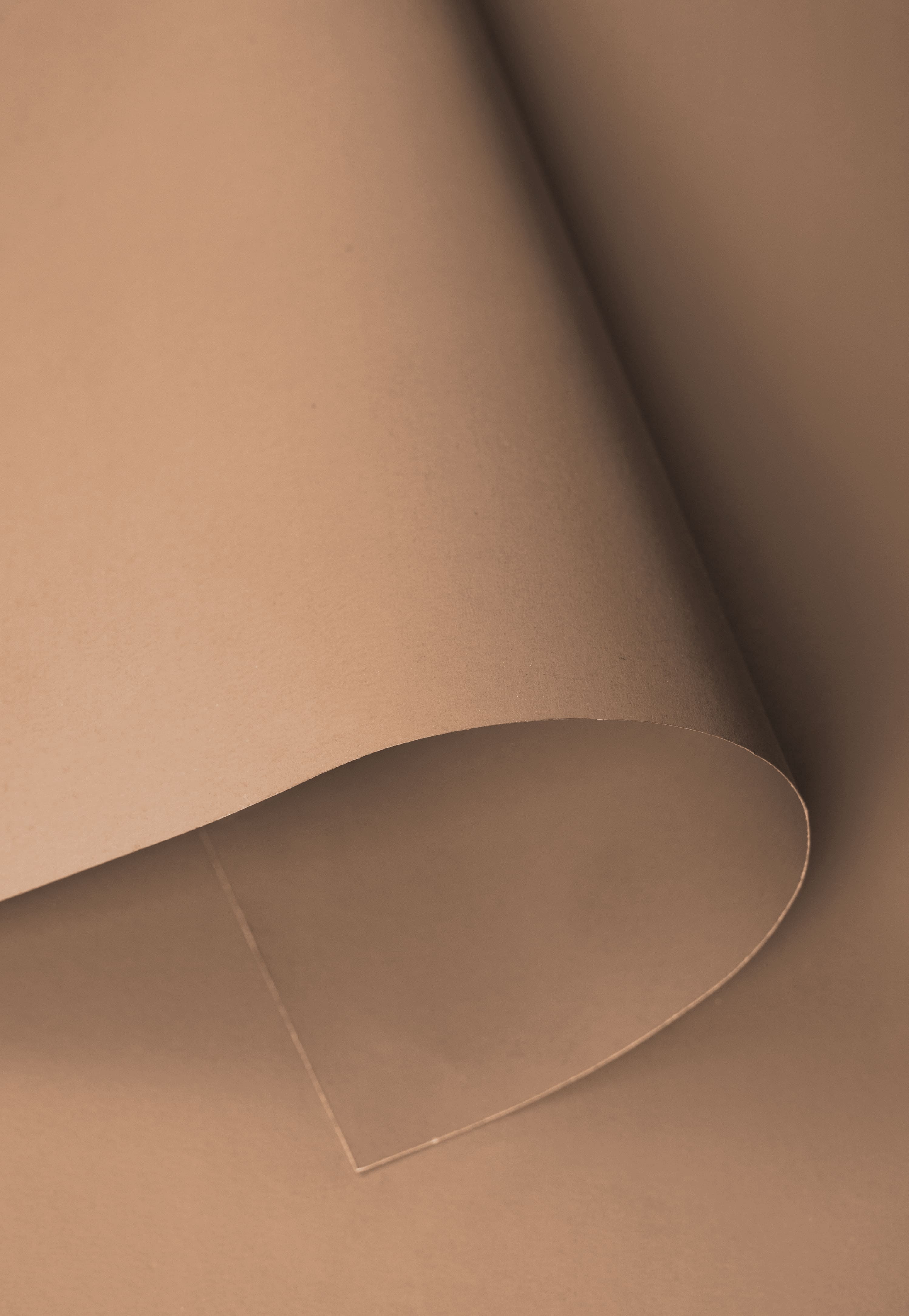 Kate Beige foncé Fond de Papier Sans Couture pour la photographie - Kate Backdrop FR