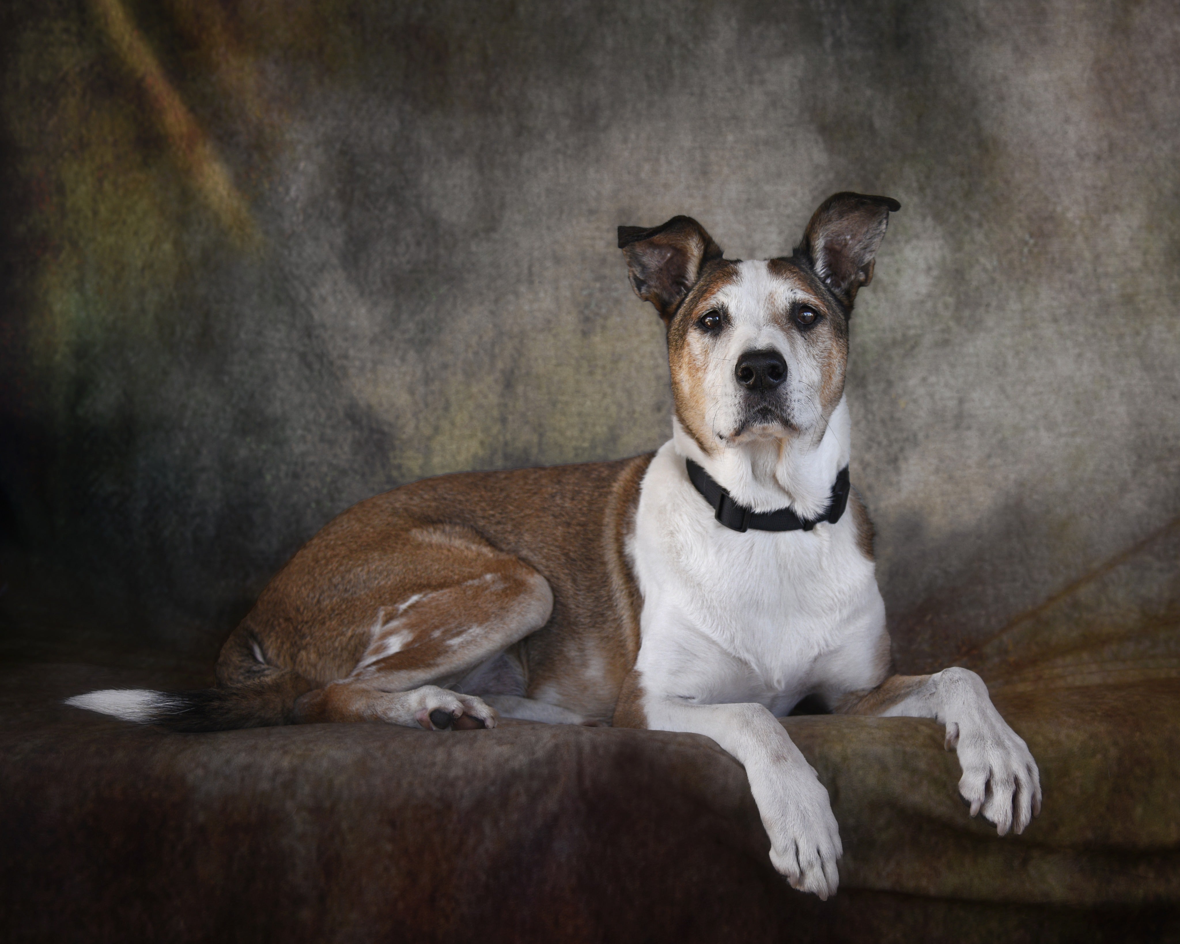 Kate texture abstraite comme toile de fond en fer rouillé pour portrait - Kate Backdrop FR