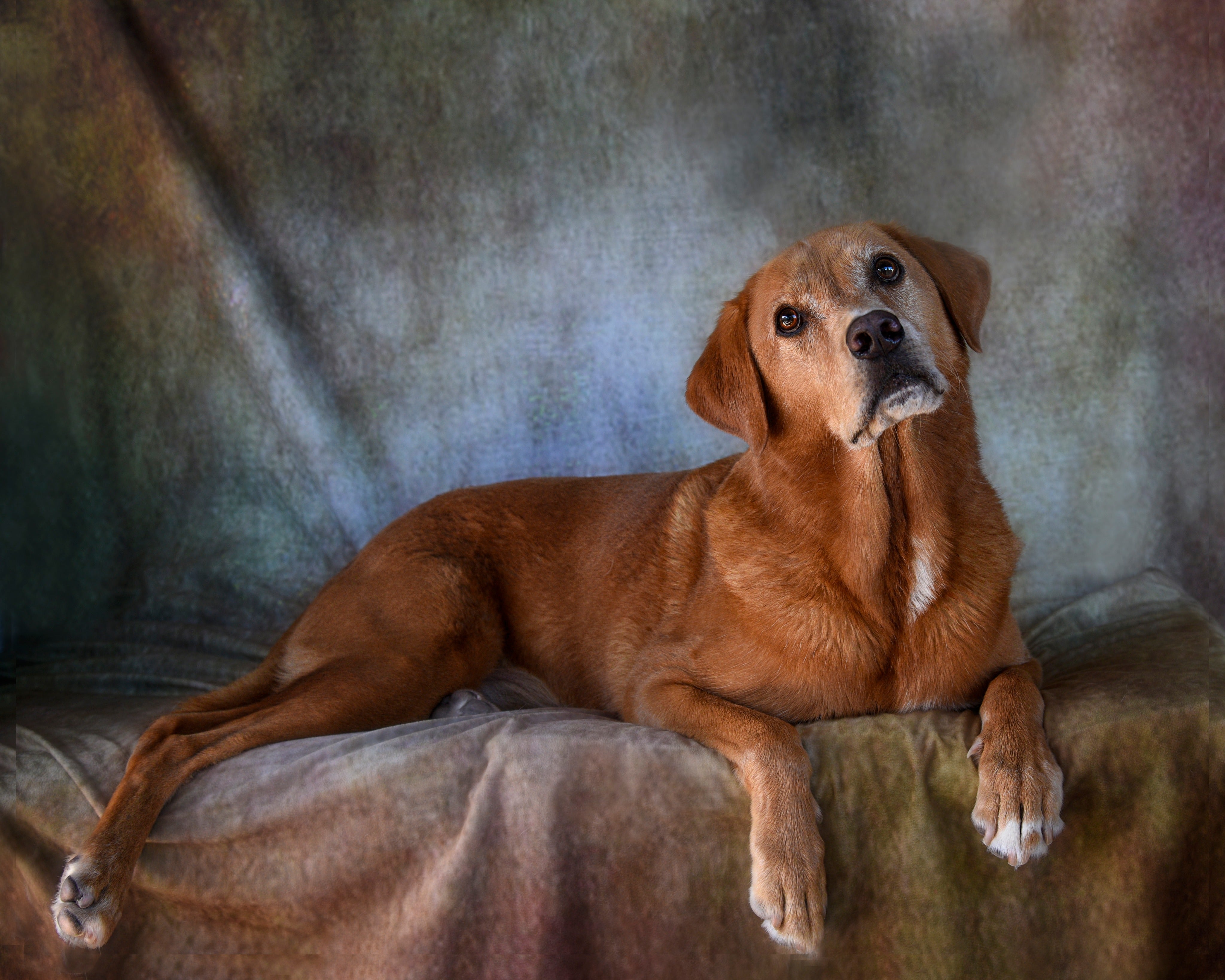 Kate texture abstraite comme toile de fond en fer rouillé pour portrait - Kate Backdrop FR