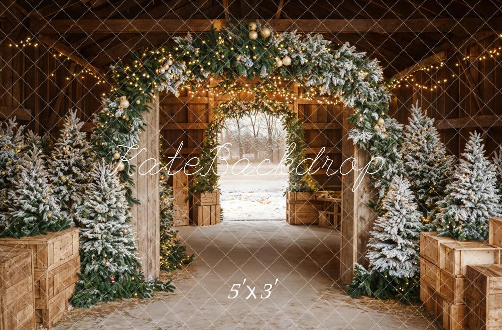 Kate Noël Arche Lumière Sapins Porte Toile de fond conçue par Emetselch