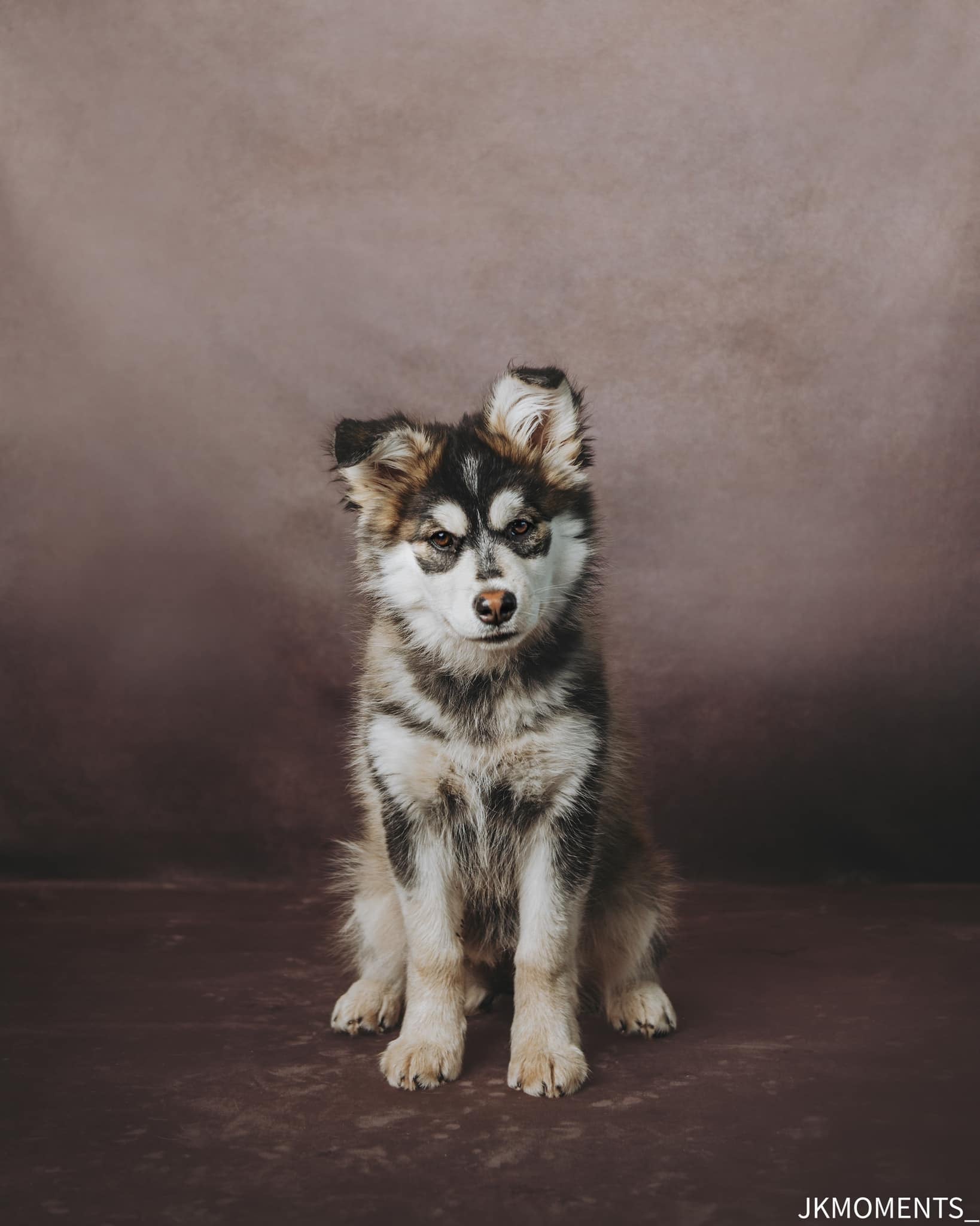 Kate Abstrait Marron Portrait Toile de fond pour la photographie - Kate Backdrop FR