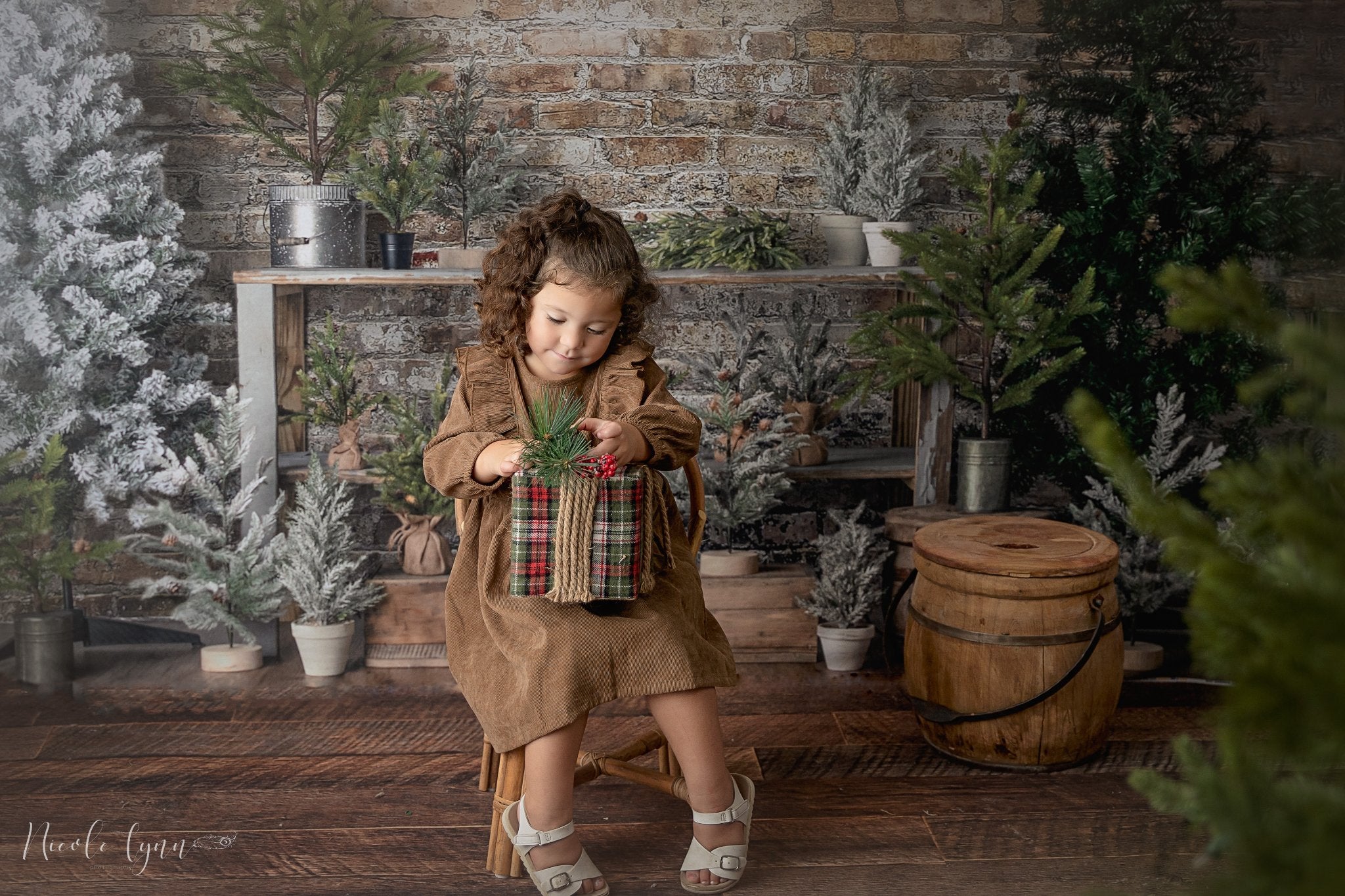 Kate Simple Sapin de Noël Mur de briques Toile de fond conçue par Mandy Ringe - Kate Backdrop FR