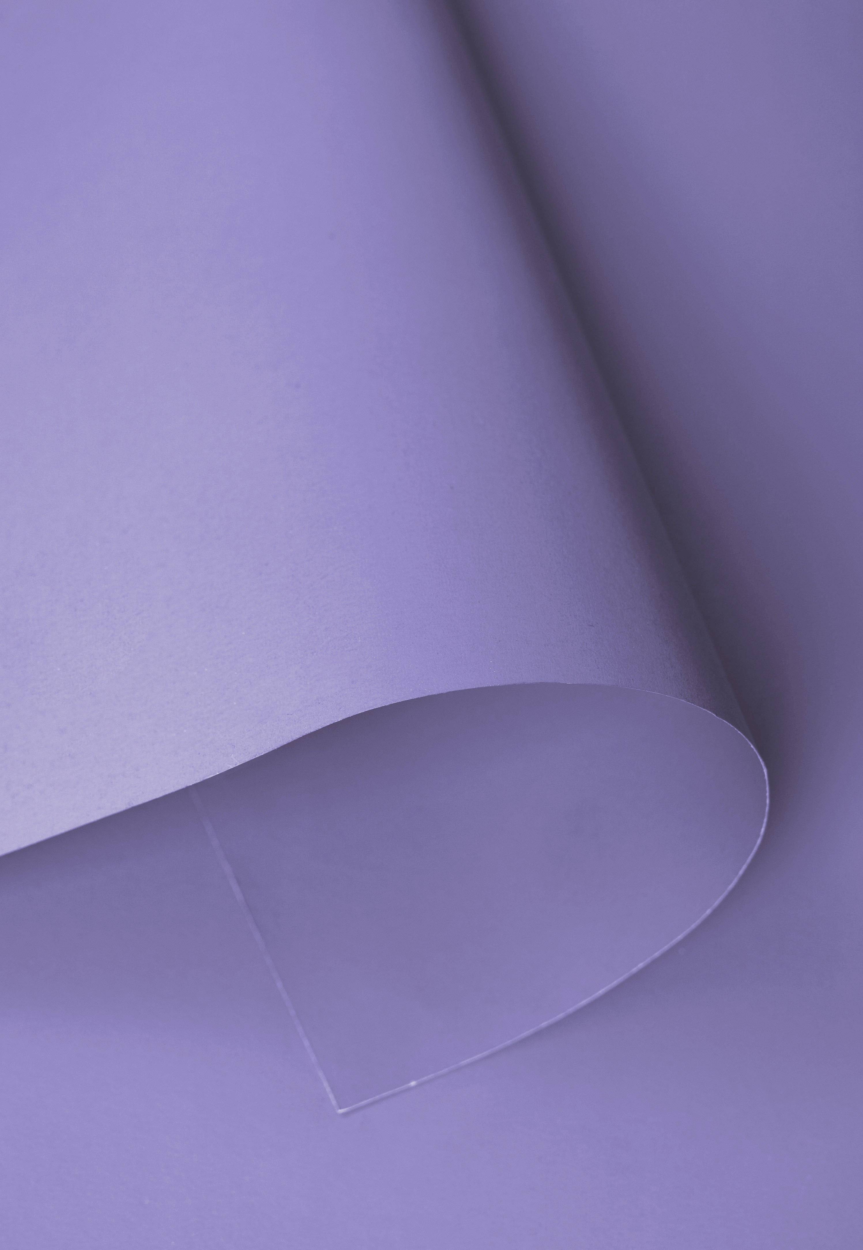 Kate Chardon Violet Fond de Papier Sans Couture pour la photographie - Kate Backdrop FR