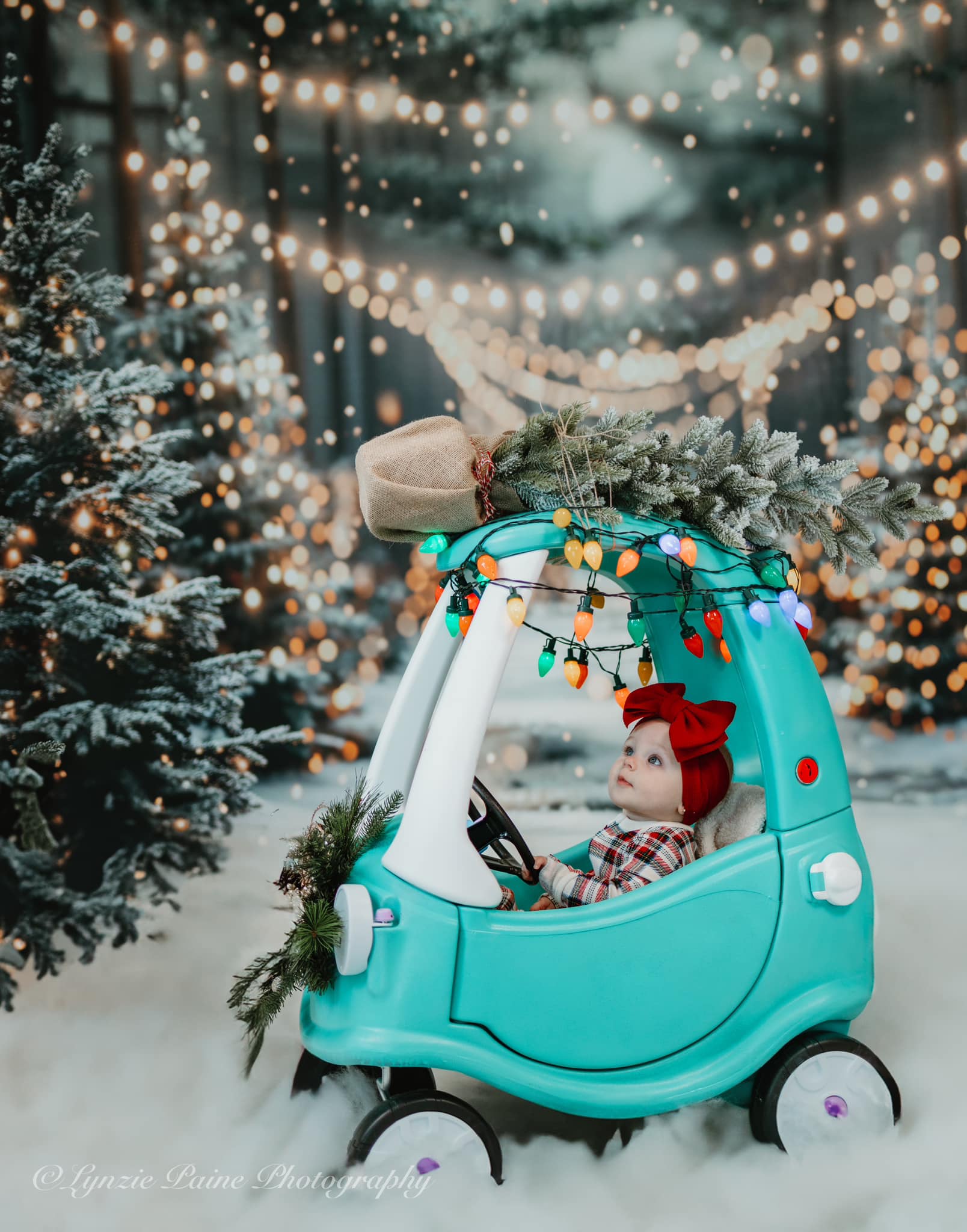 Kate Hiver Noël Extérieur Forêt Neige Lumière Toile de fond conçue par Emetselch - Kate Backdrop FR