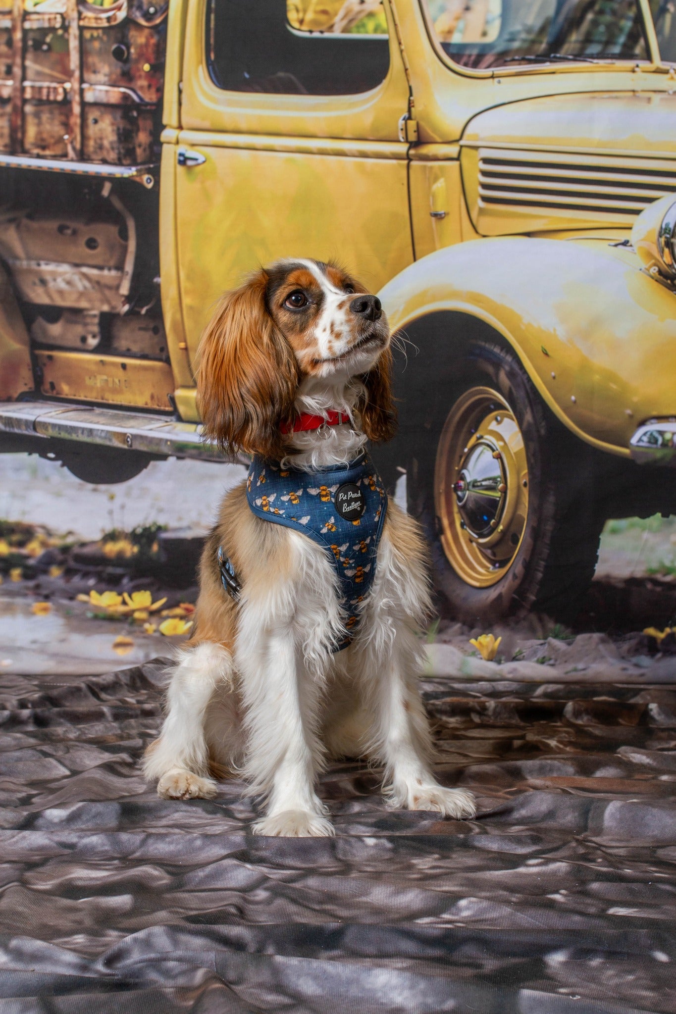 Kate Été Printemps Jaune Fleurs Camion Toile de fond conçue par Emetselch - Kate Backdrop FR