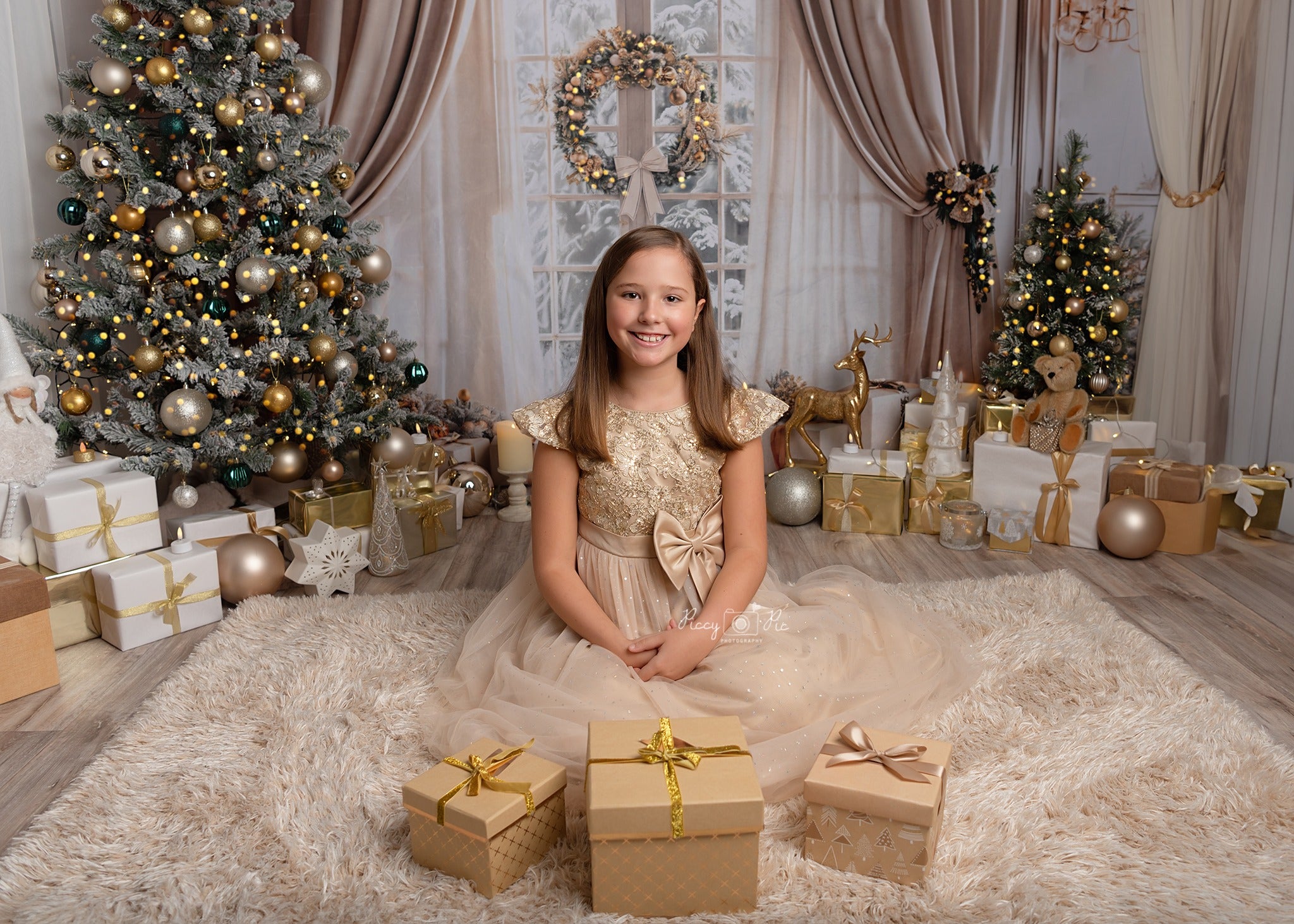 Kate Noël Beige Rideau Fenêtre Classique Toile de fond conçue par Emetselch - Kate Backdrop FR