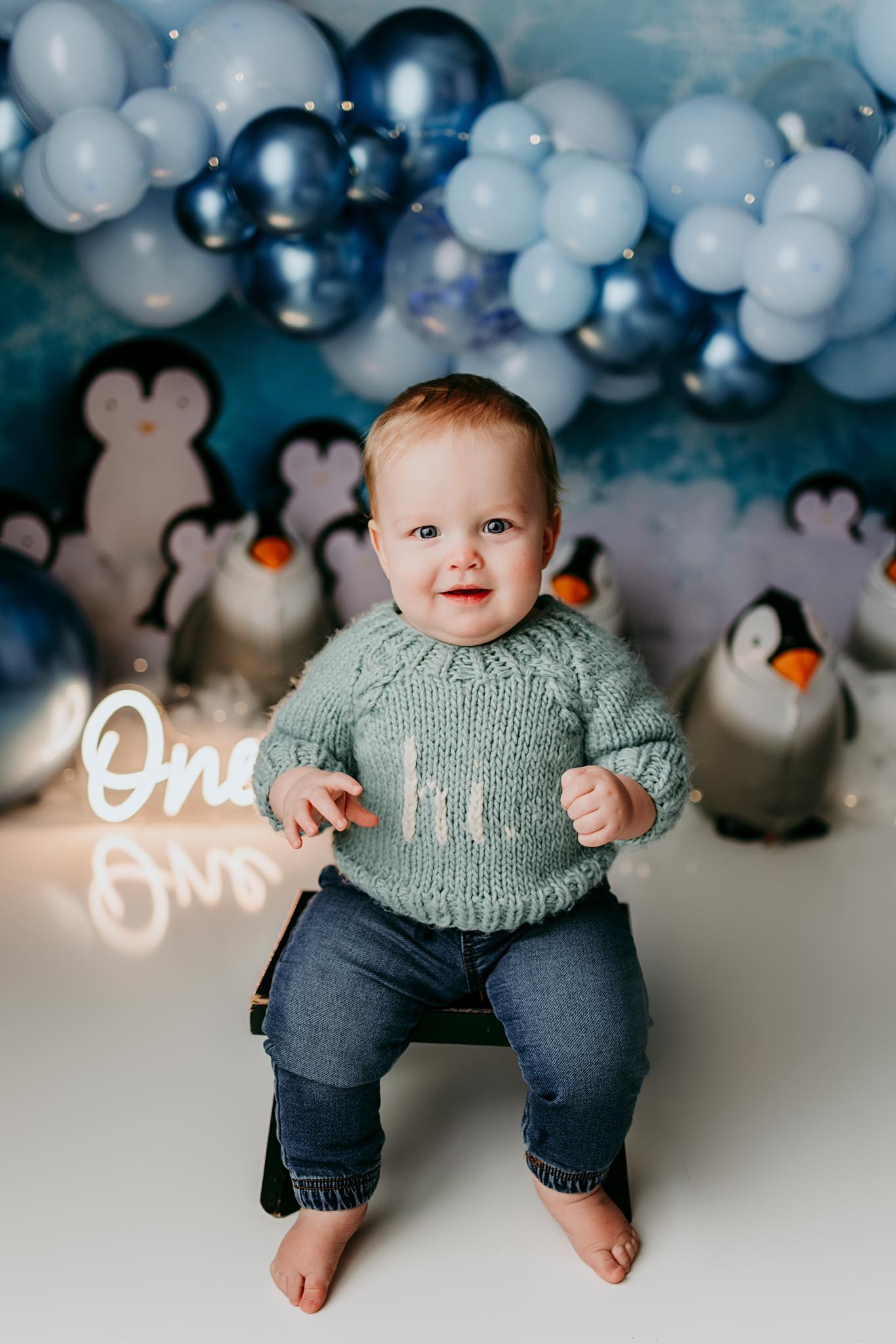 Kate Hiver Pingouins Neige Toile de fond conçu par Melissa King - Kate Backdrop FR