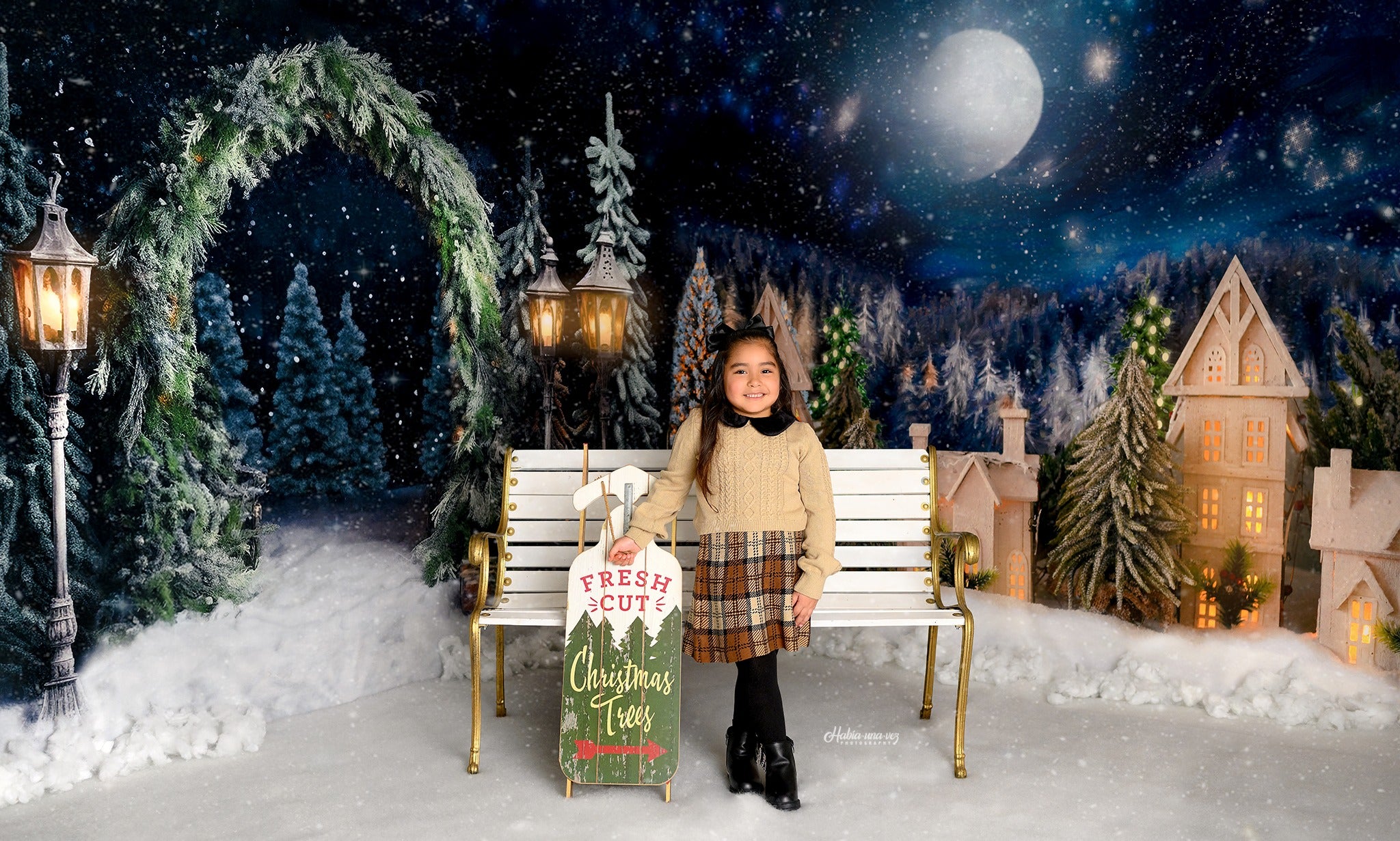 Kate Noël Extérieur Arche Arbres Nuit Toile de fond pour la photographie - Kate Backdrop FR