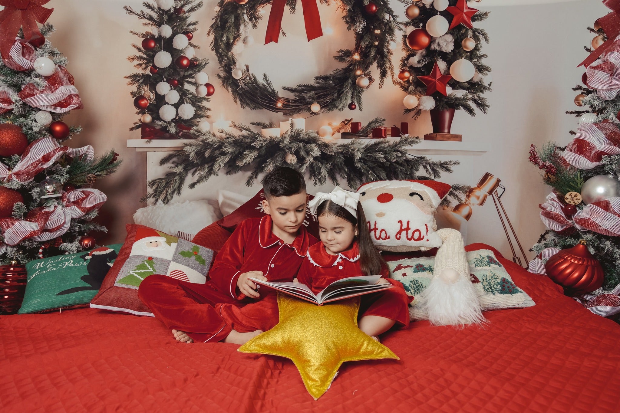 Kate Noël Chaud Tête de lit Arbre Toile de fond pour la photographie - Kate Backdrop FR