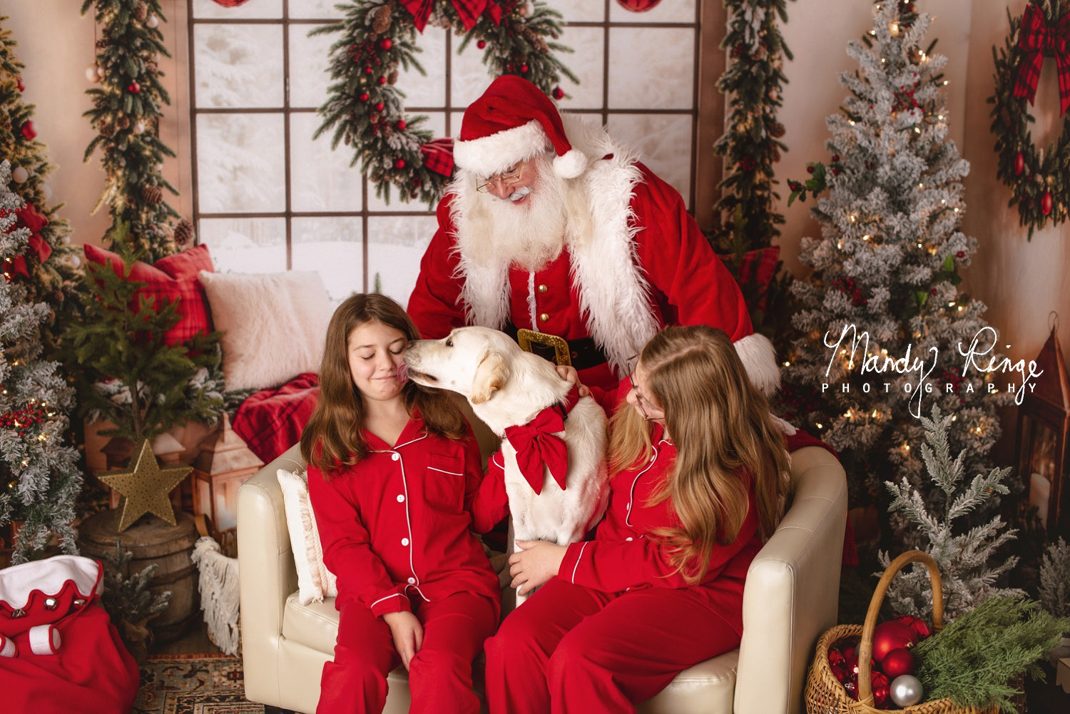 Kate Sapin de Noël Fenêtre Guirlande Couverture Toile de fond conçue par Emetselch - Kate Backdrop FR